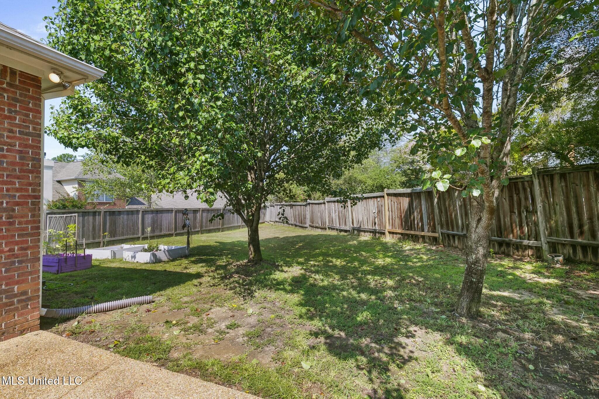 177 Apple Blossom Drive, Brandon, Mississippi image 13