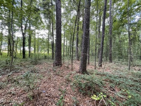 Vacant Land For Sale - Eastside Drive<br/> Newton, MS 39345