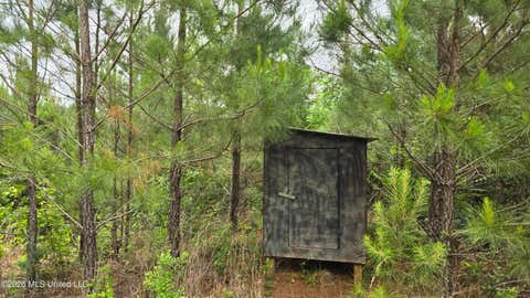 Vacant Land For Sale - 189 Co Rd 2337<br/> Bay Springs, MS 39422