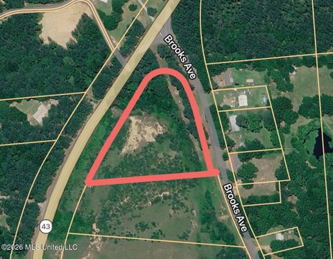 Vacant Land For Sale - Hwy 43 N St<br/> Rankin County, Pelahatchie, MS 39145
