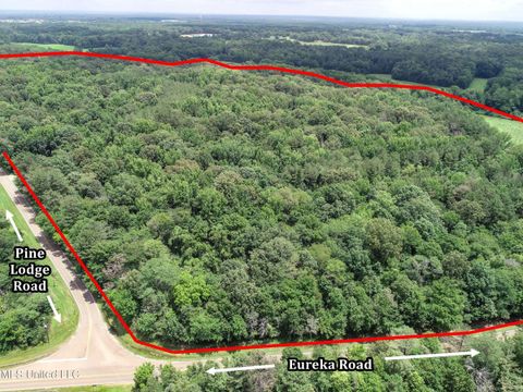 Vacant Land For Sale - Pine Lodge Road Road<br/> Panola County, Batesville, MS 38606