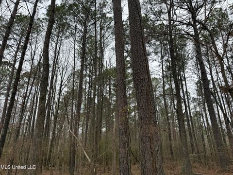 Vacant Land For Sale - Mount Elam Church Road<br/> Pearl, MS 39208