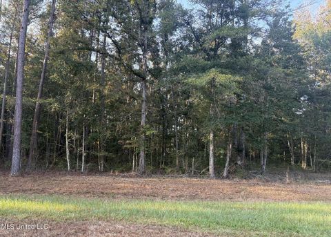 Vacant Land For Sale - 00 Friendship Circle<br/> Forest, MS 39074