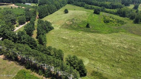 Vacant Land For Sale - 1 County Road 444<br/> Philadelphia, MS 39350