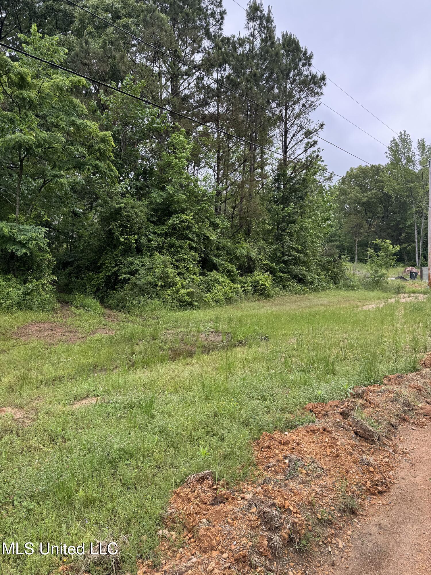 Bennett Circle, Byhalia, Mississippi image 4