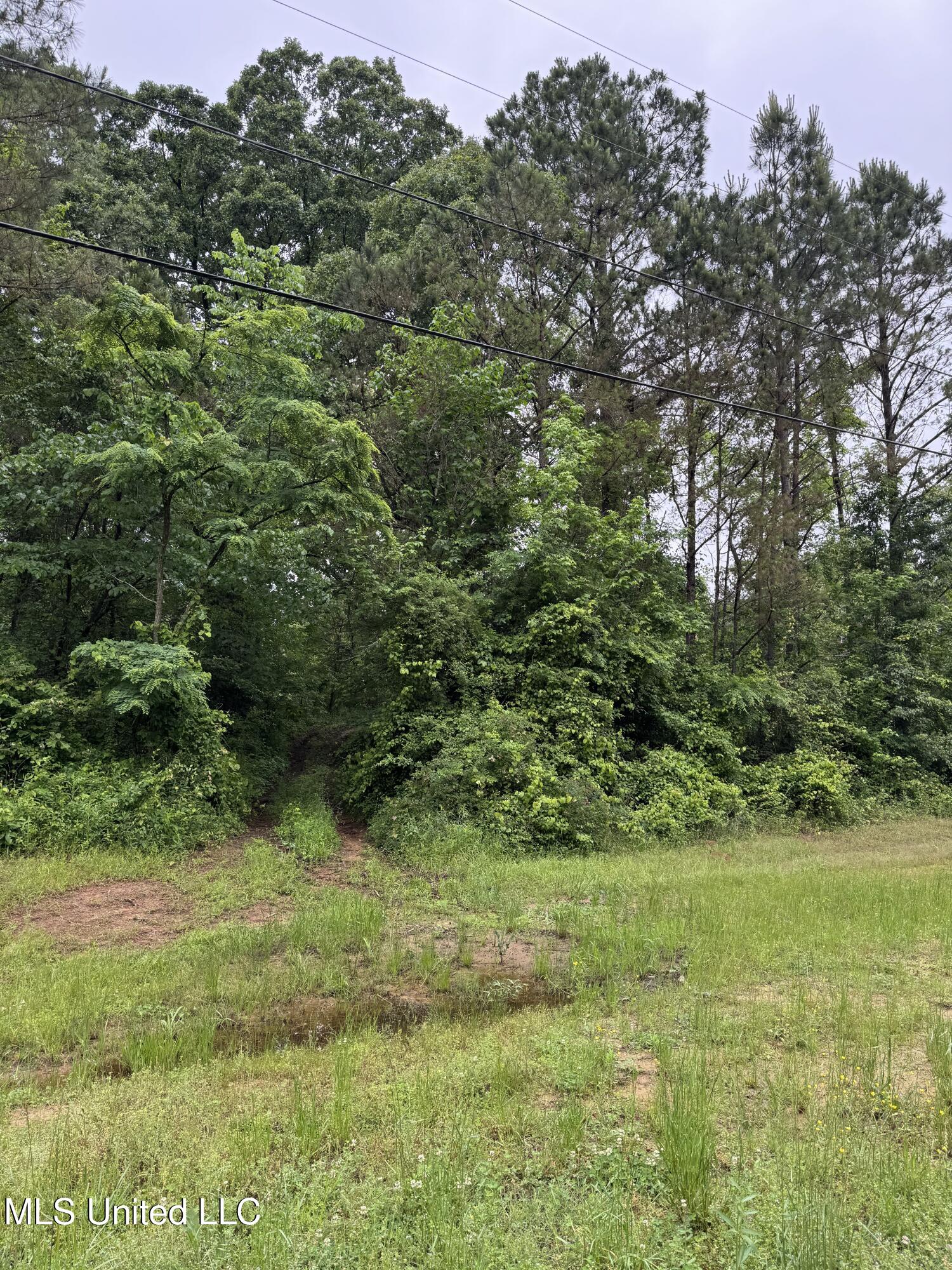 Bennett Circle, Byhalia, Mississippi image 1