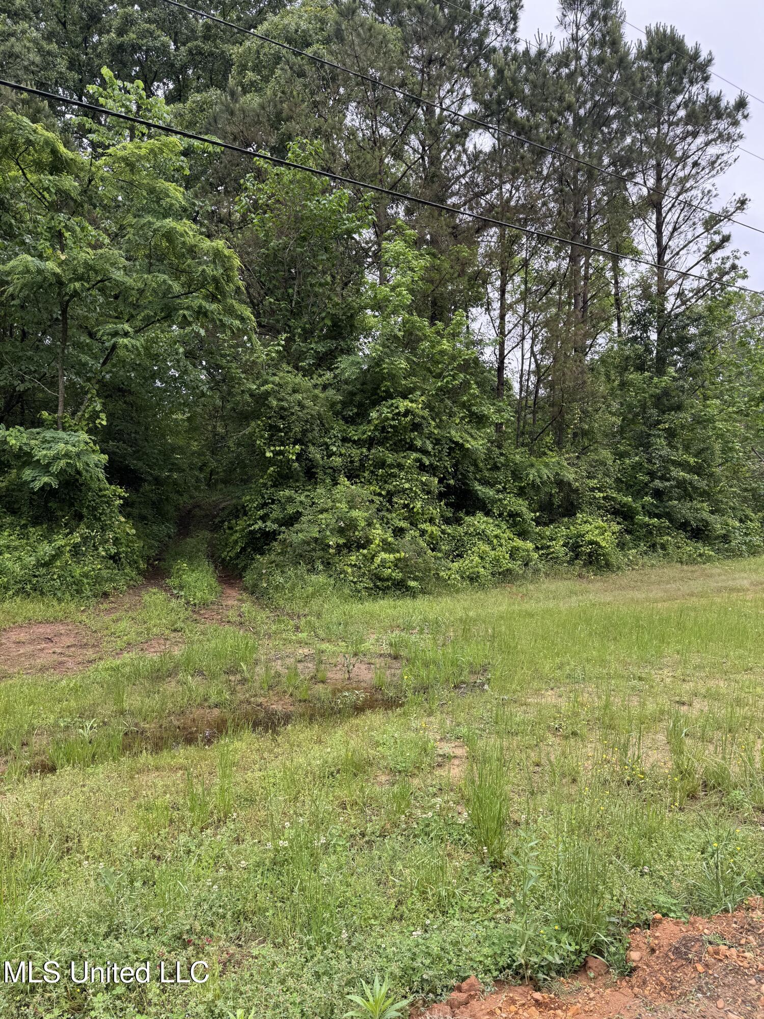 Bennett Circle, Byhalia, Mississippi image 5