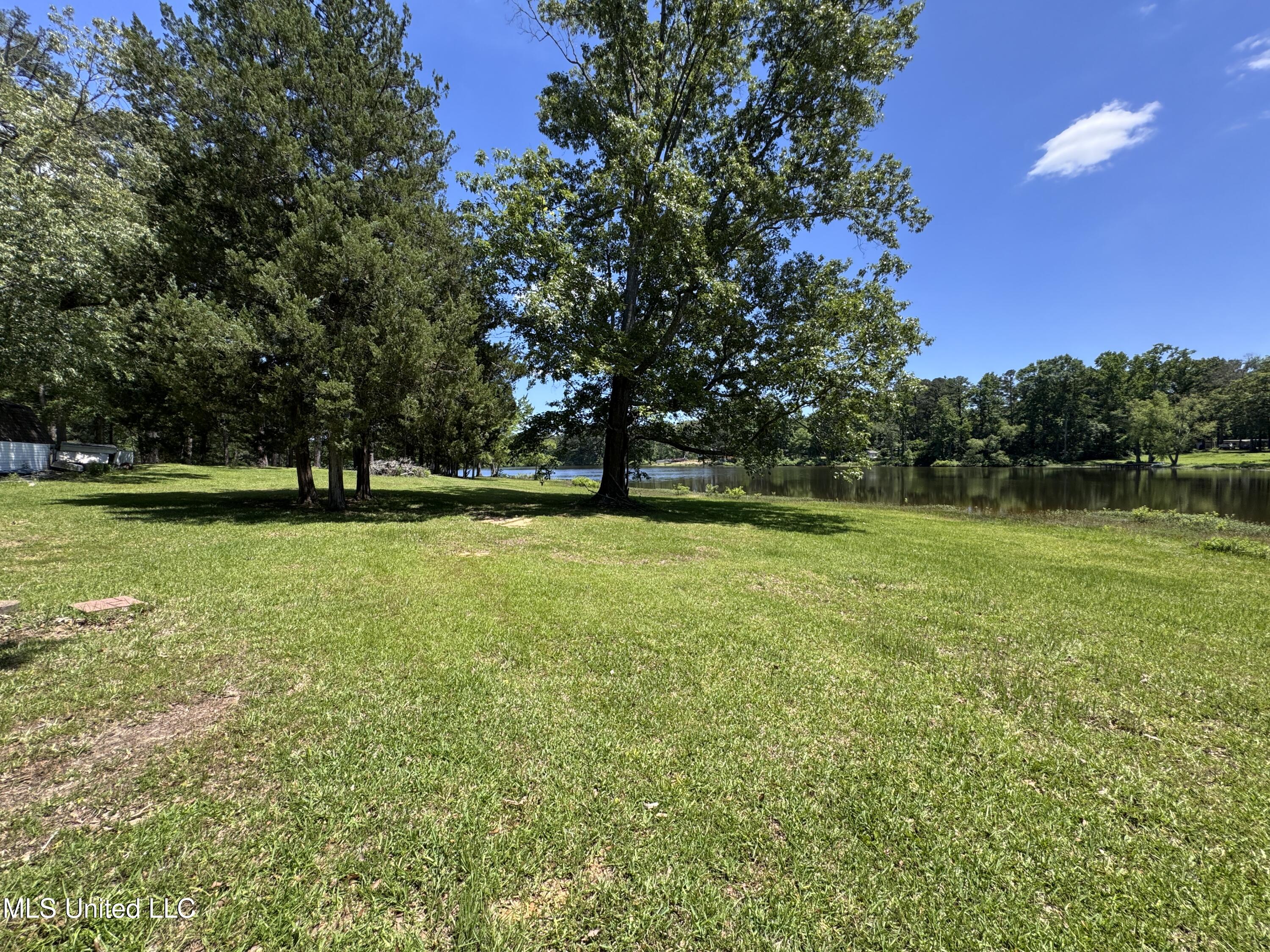 206 C Street, Brandon, Mississippi image 4
