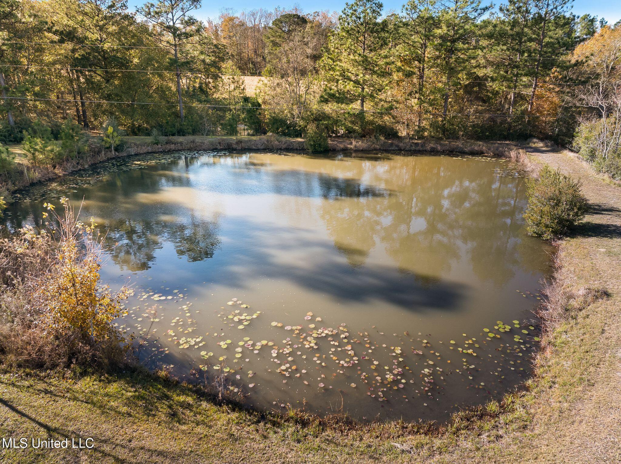 57 Donald Hale Road, Lumberton, Mississippi image 9