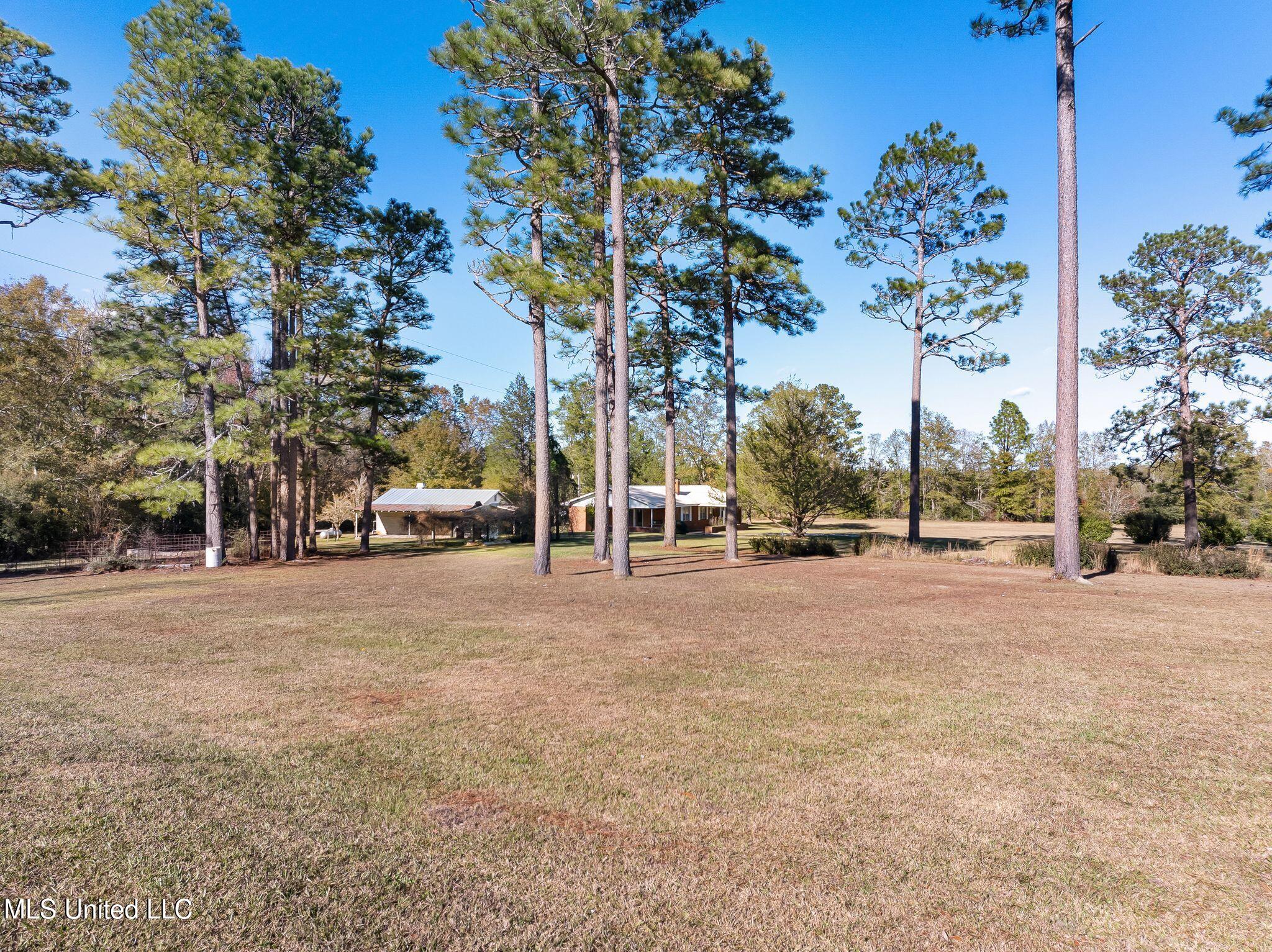 57 Donald Hale Road, Lumberton, Mississippi image 10