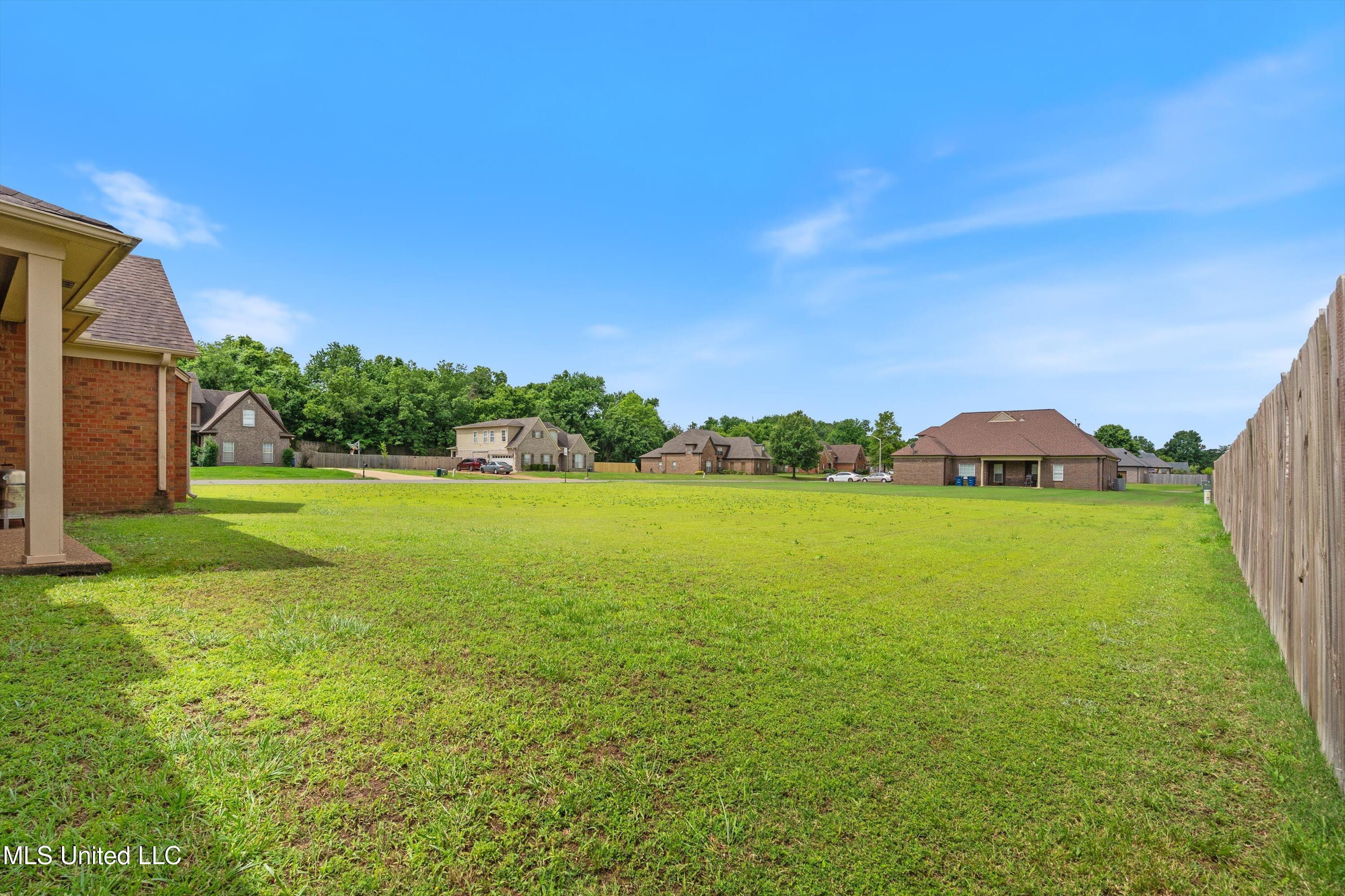 8061 Falcon Drive, Olive Branch, Mississippi image 38