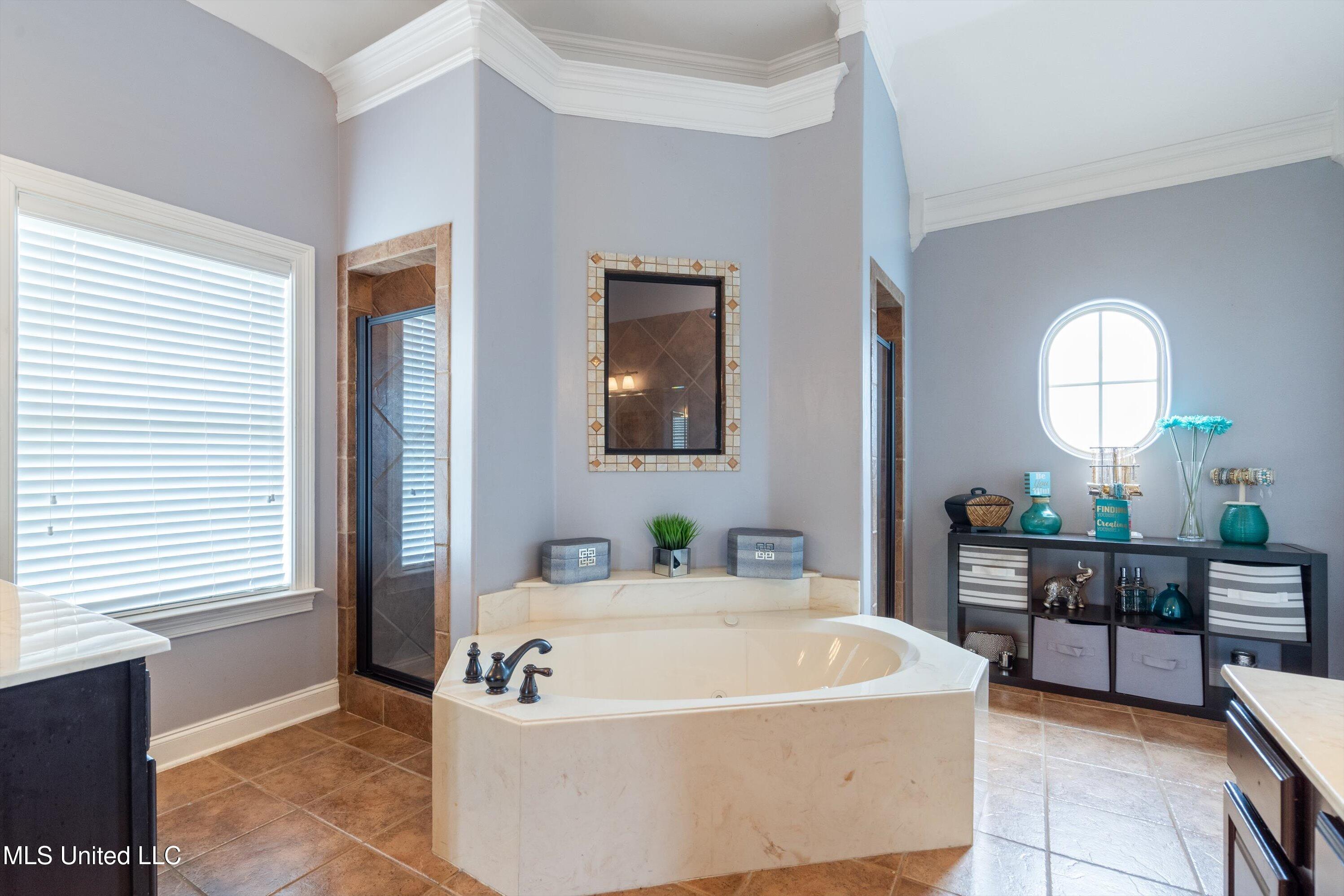 8061 Falcon Drive, Olive Branch, Mississippi image 21