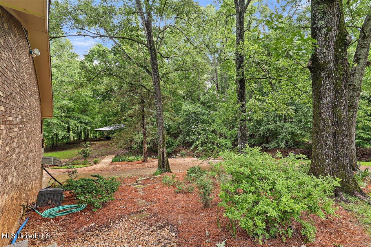 727 Laney Drive, Clinton, Mississippi image 5