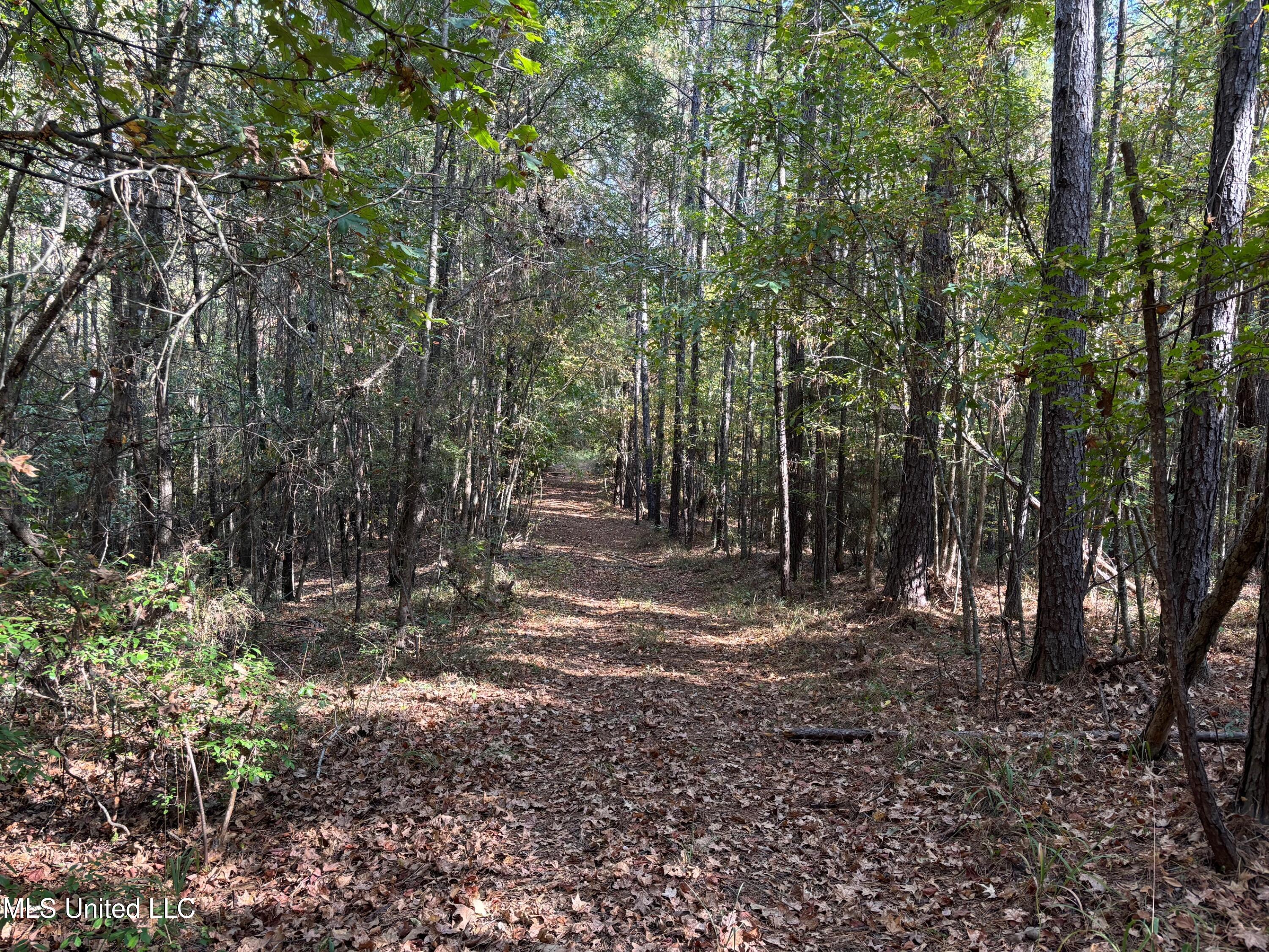 Shillings Hill Road, Roxie, Mississippi image 8