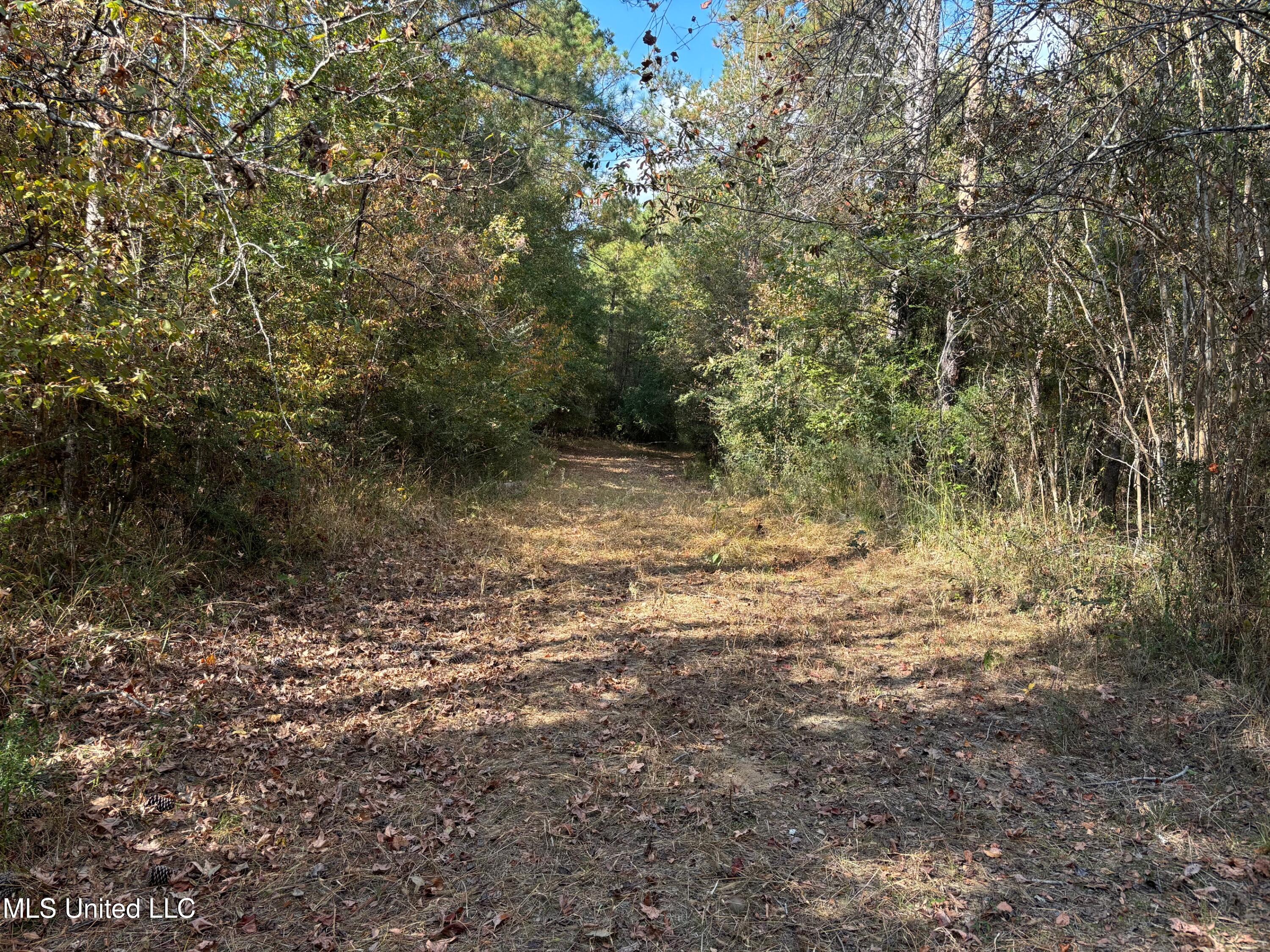 Shillings Hill Road, Roxie, Mississippi image 7