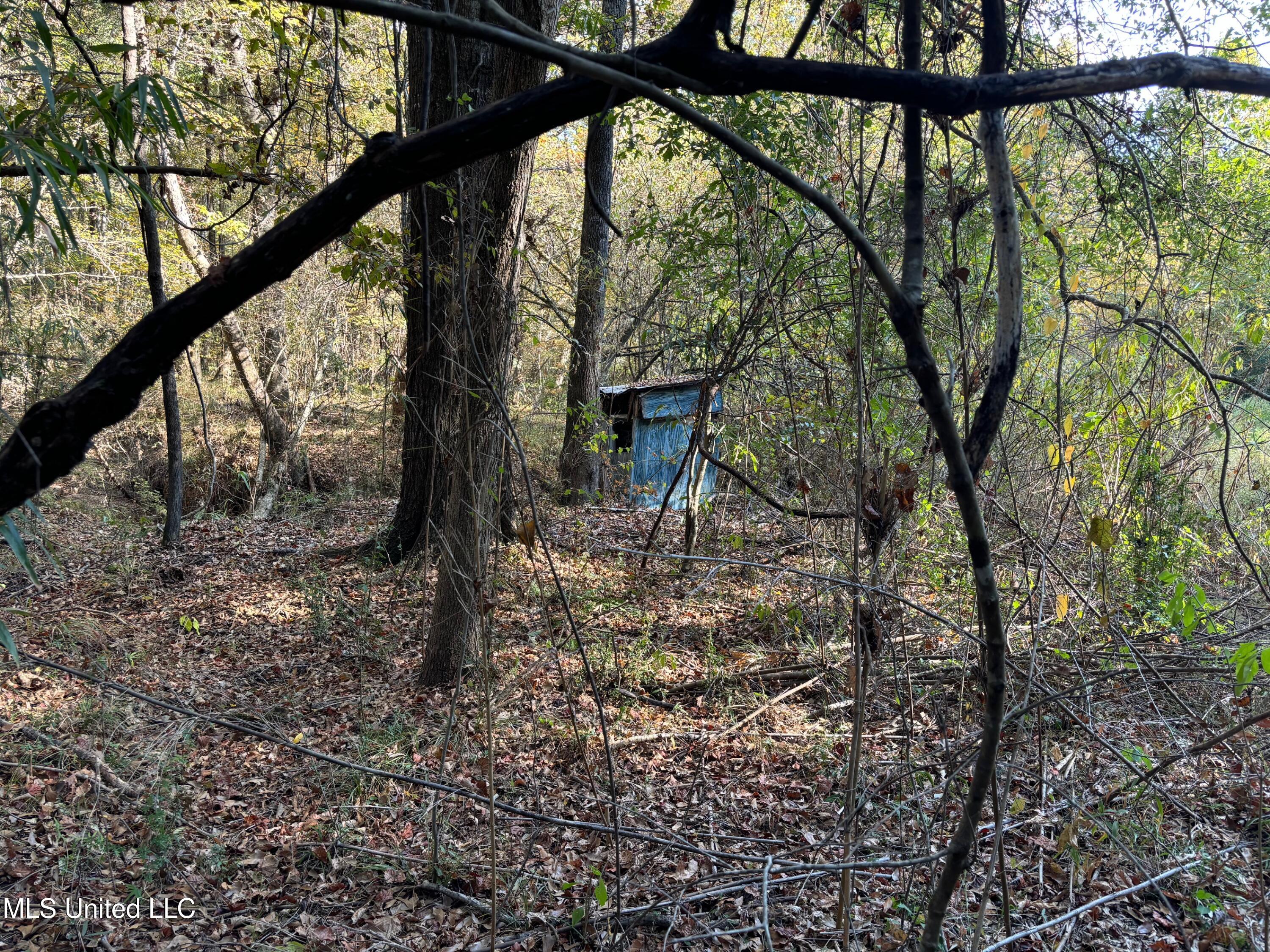 Shillings Hill Road, Roxie, Mississippi image 11