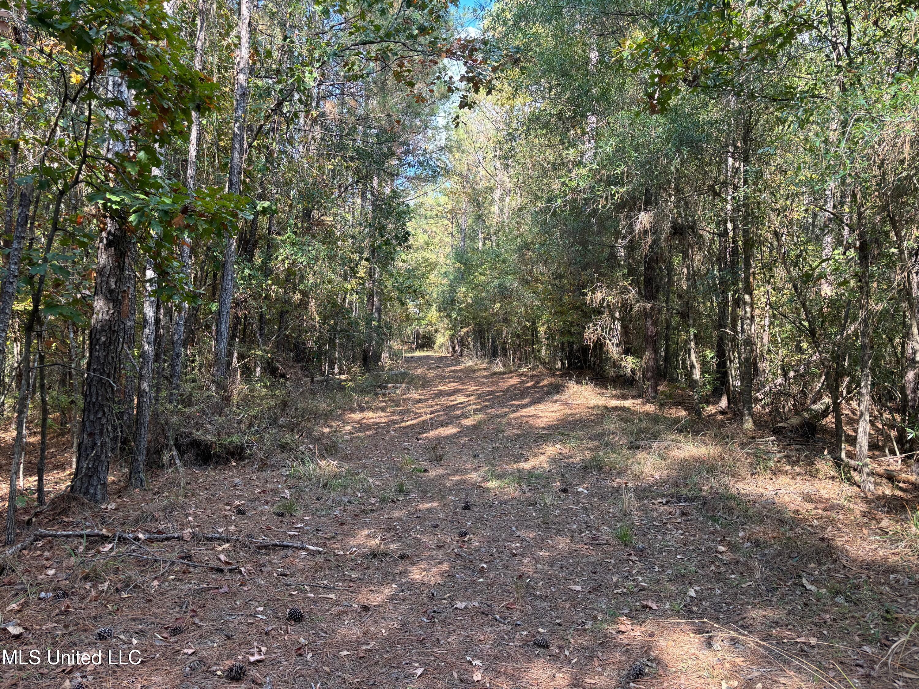 Shillings Hill Road, Roxie, Mississippi image 5