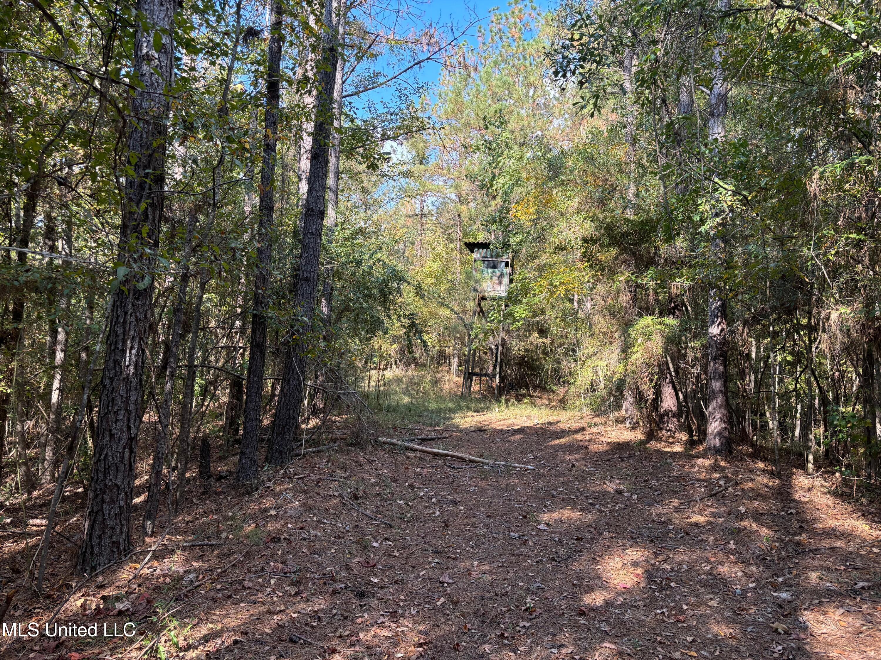 Shillings Hill Road, Roxie, Mississippi image 6