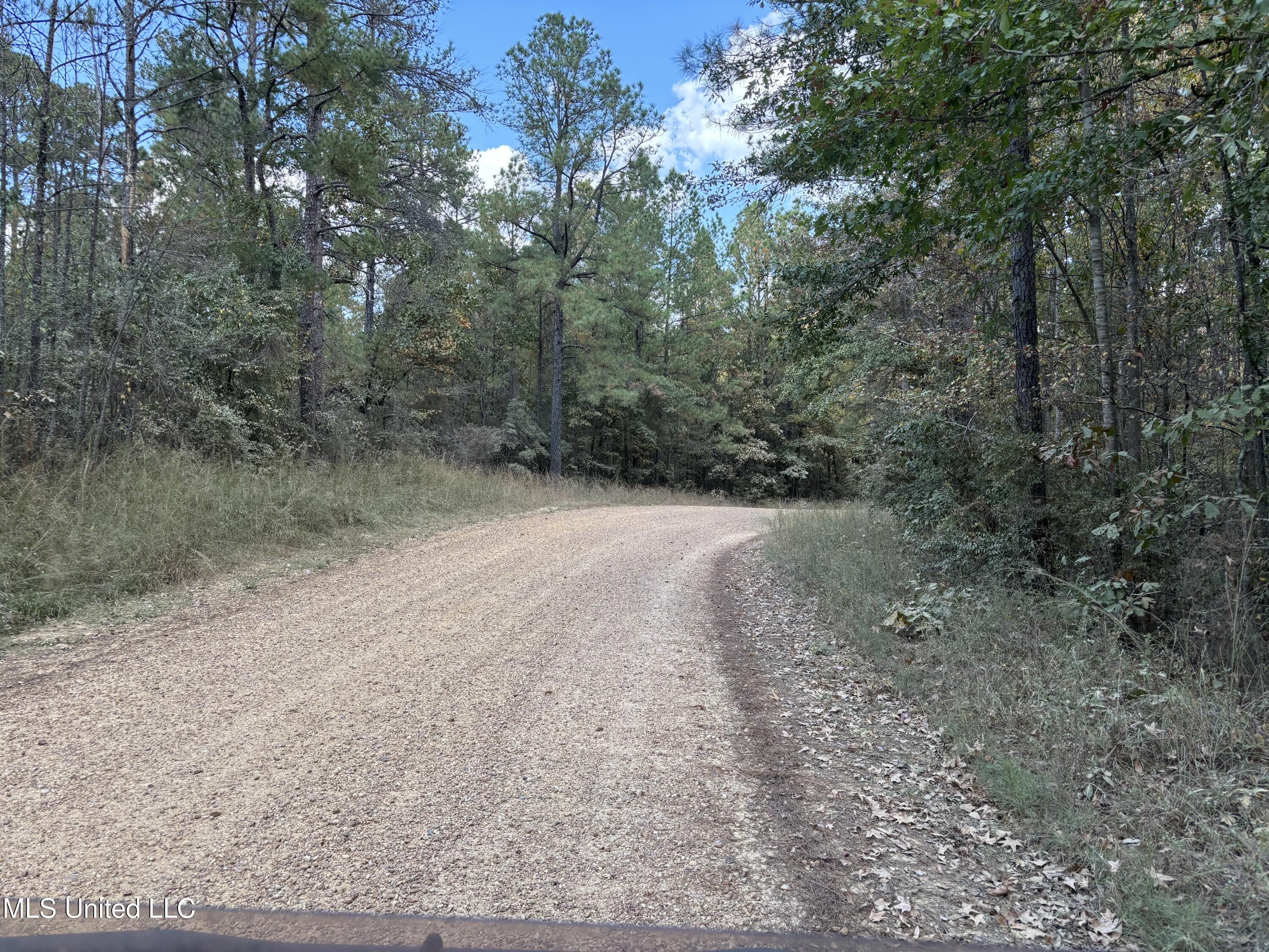 Shillings Hill Road, Roxie, Mississippi image 2