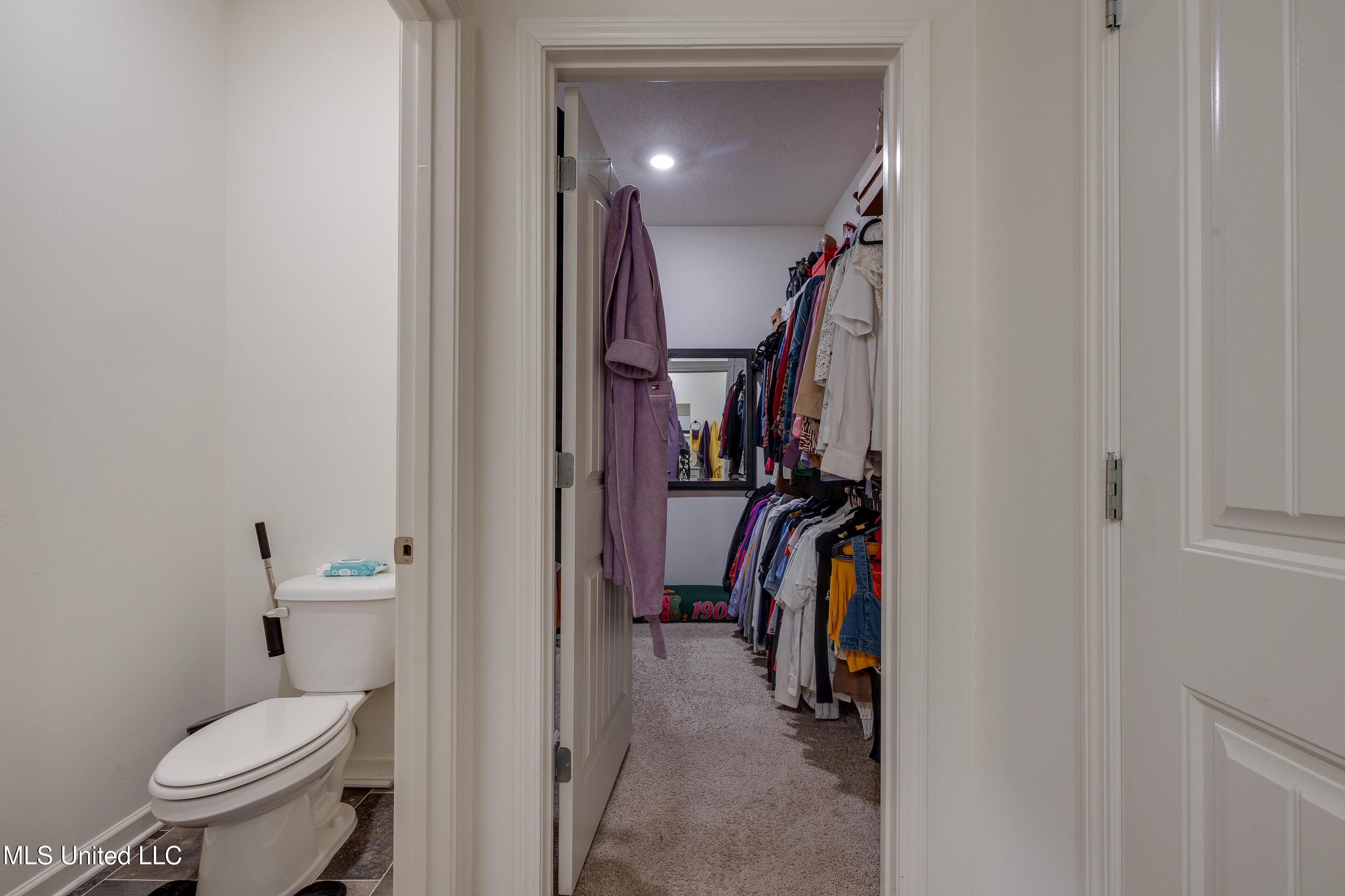 8814 Ruth Ann Cove, Southaven, Mississippi image 28