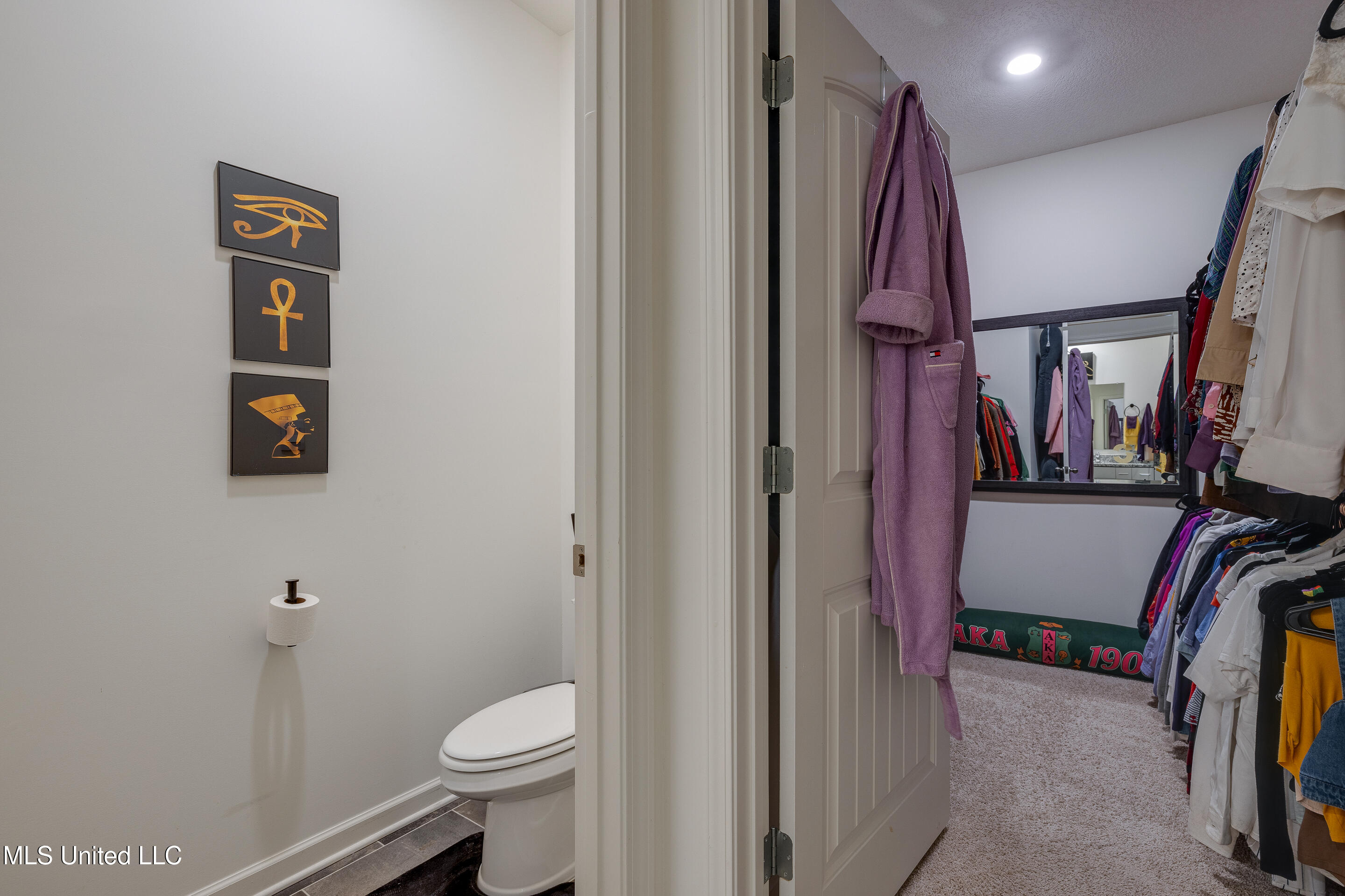 8814 Ruth Ann Cove, Southaven, Mississippi image 29