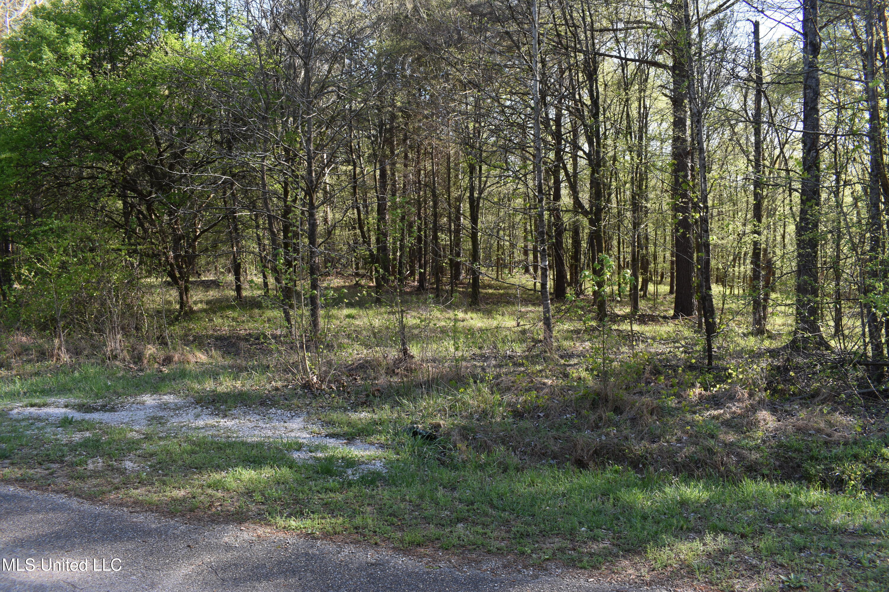 Leonard Lane, Holly Springs, Mississippi image 17