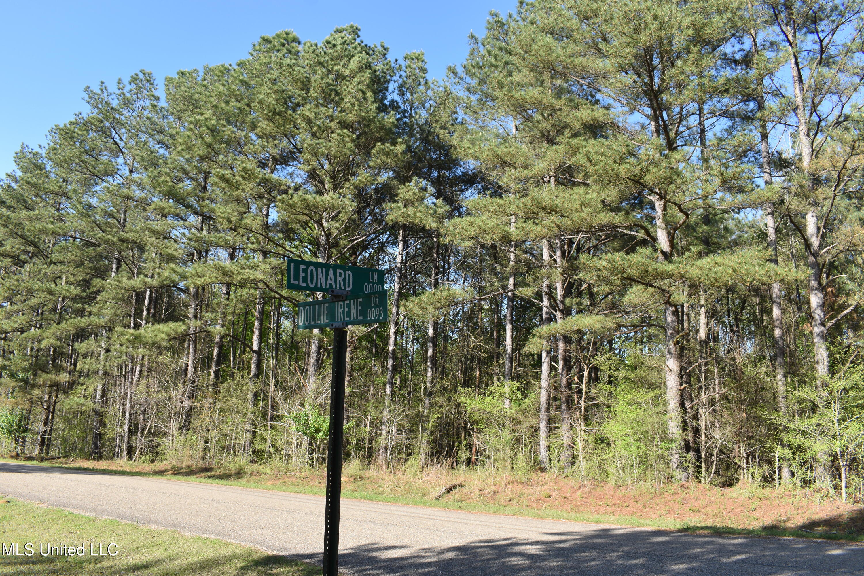 Leonard Lane, Holly Springs, Mississippi image 18