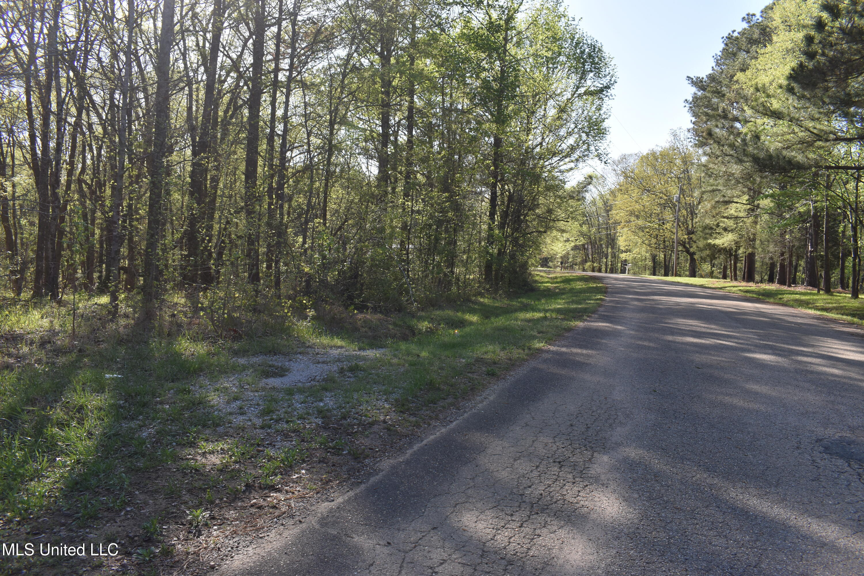 Leonard Lane, Holly Springs, Mississippi image 16