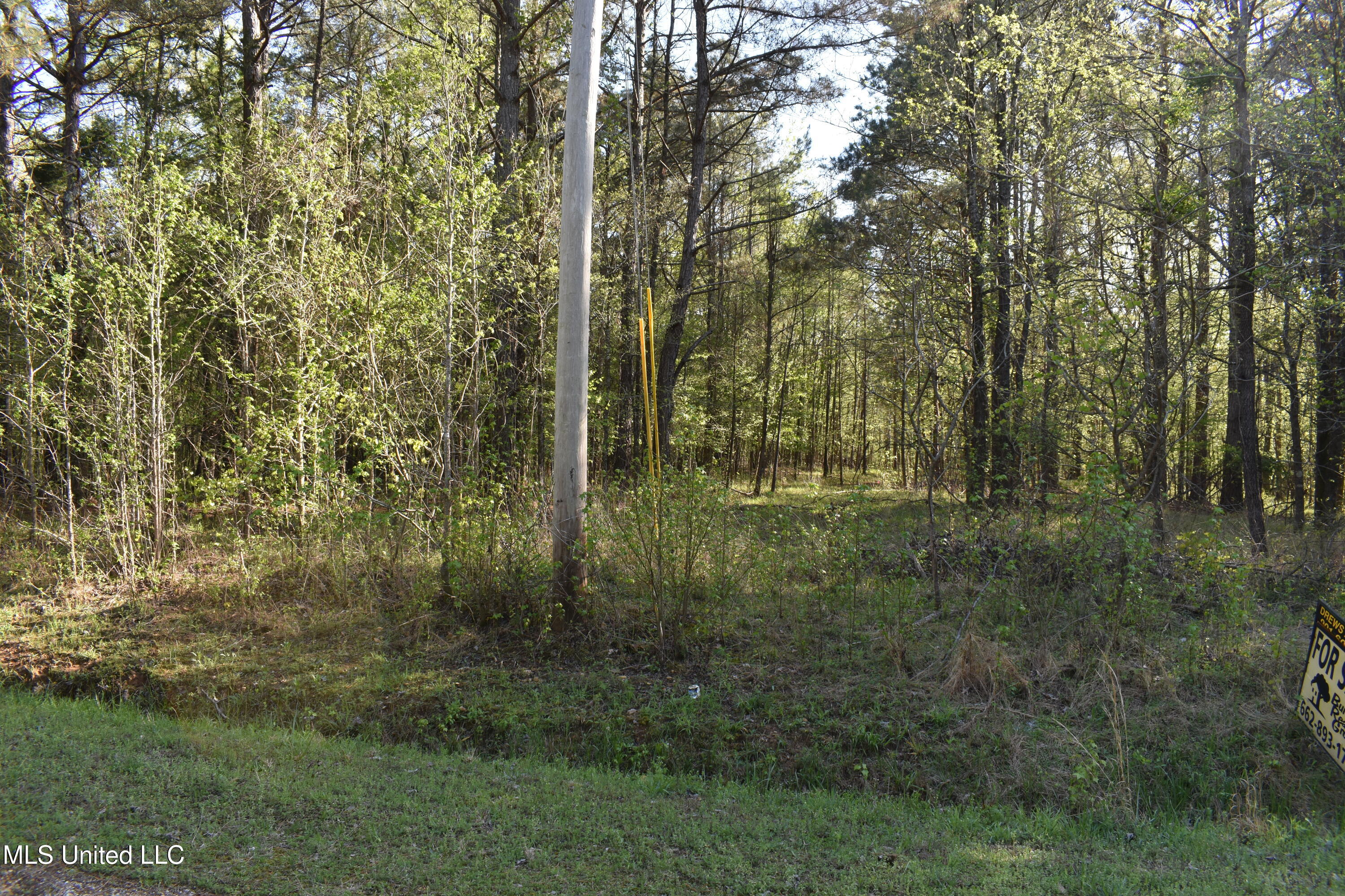Leonard Lane, Holly Springs, Mississippi image 19