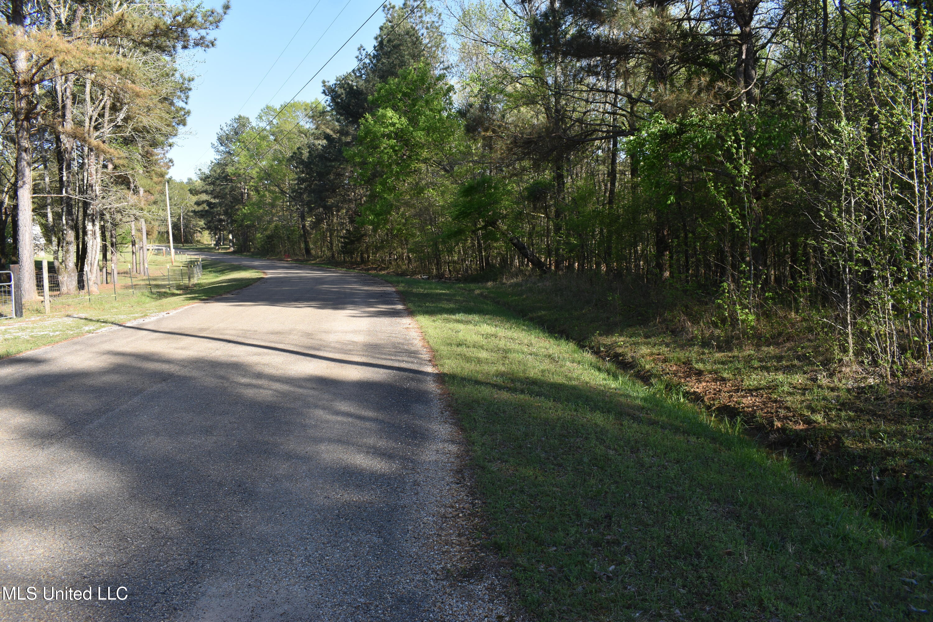 Leonard Lane, Holly Springs, Mississippi image 20