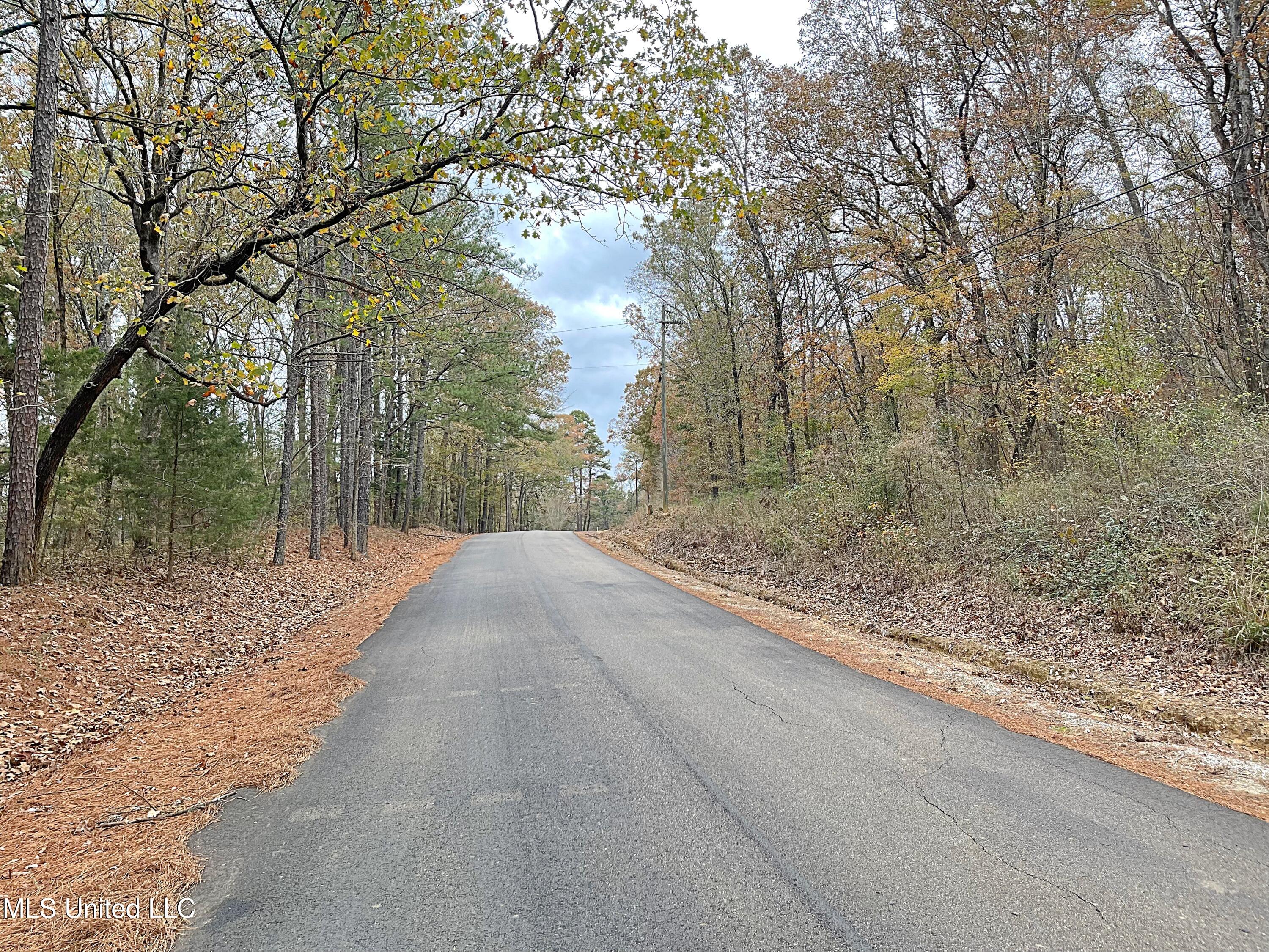 Harkins Road, Carthage, Mississippi image 2