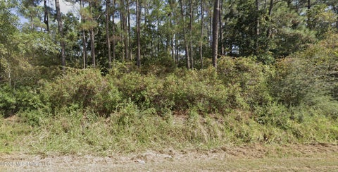 Vacant Land For Sale - SW Pine Street Road<br/> Ocean Springs, MS 39564
