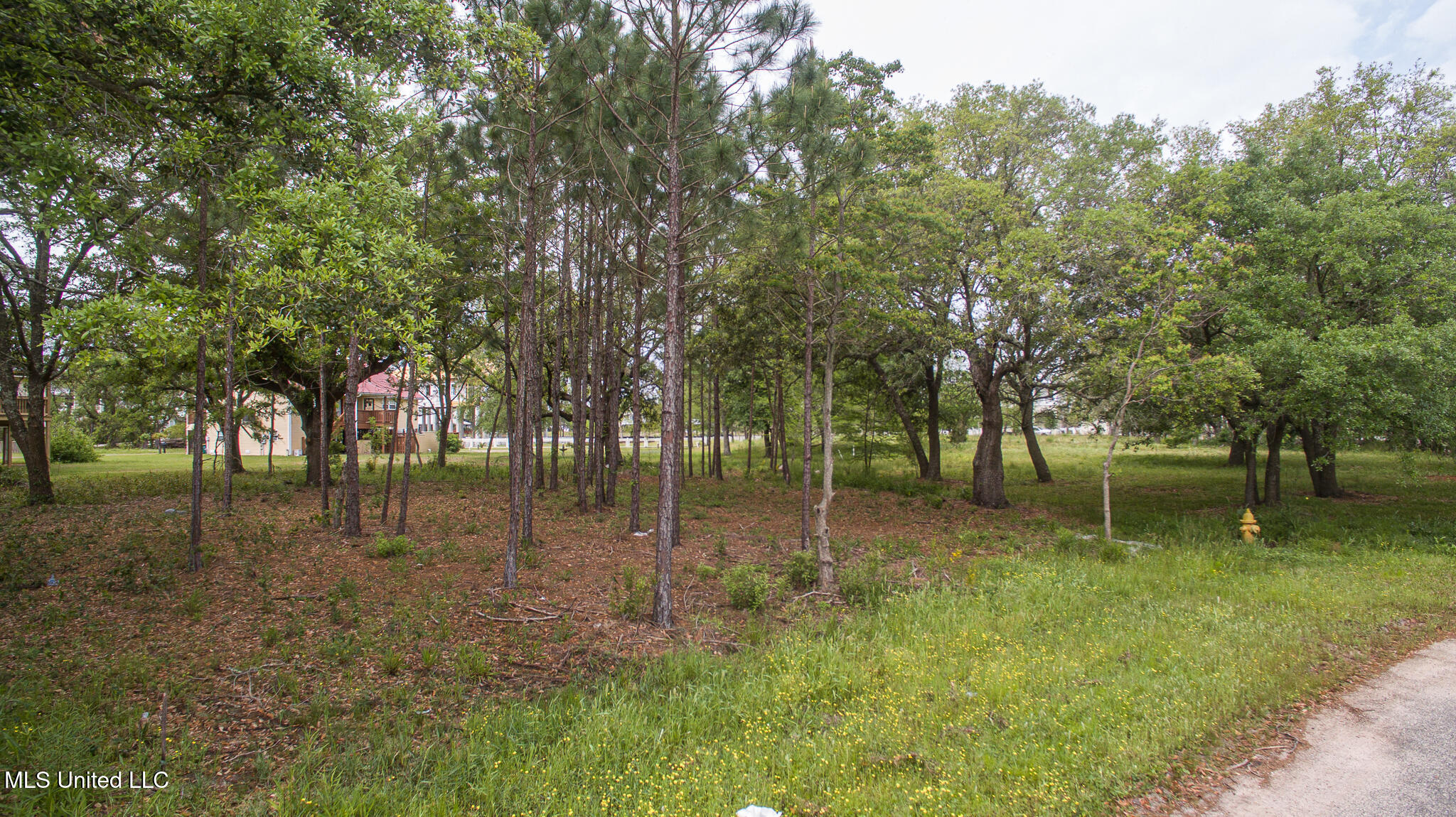 Lot 32 Basswood Drive, Pass Christian, Mississippi image 1