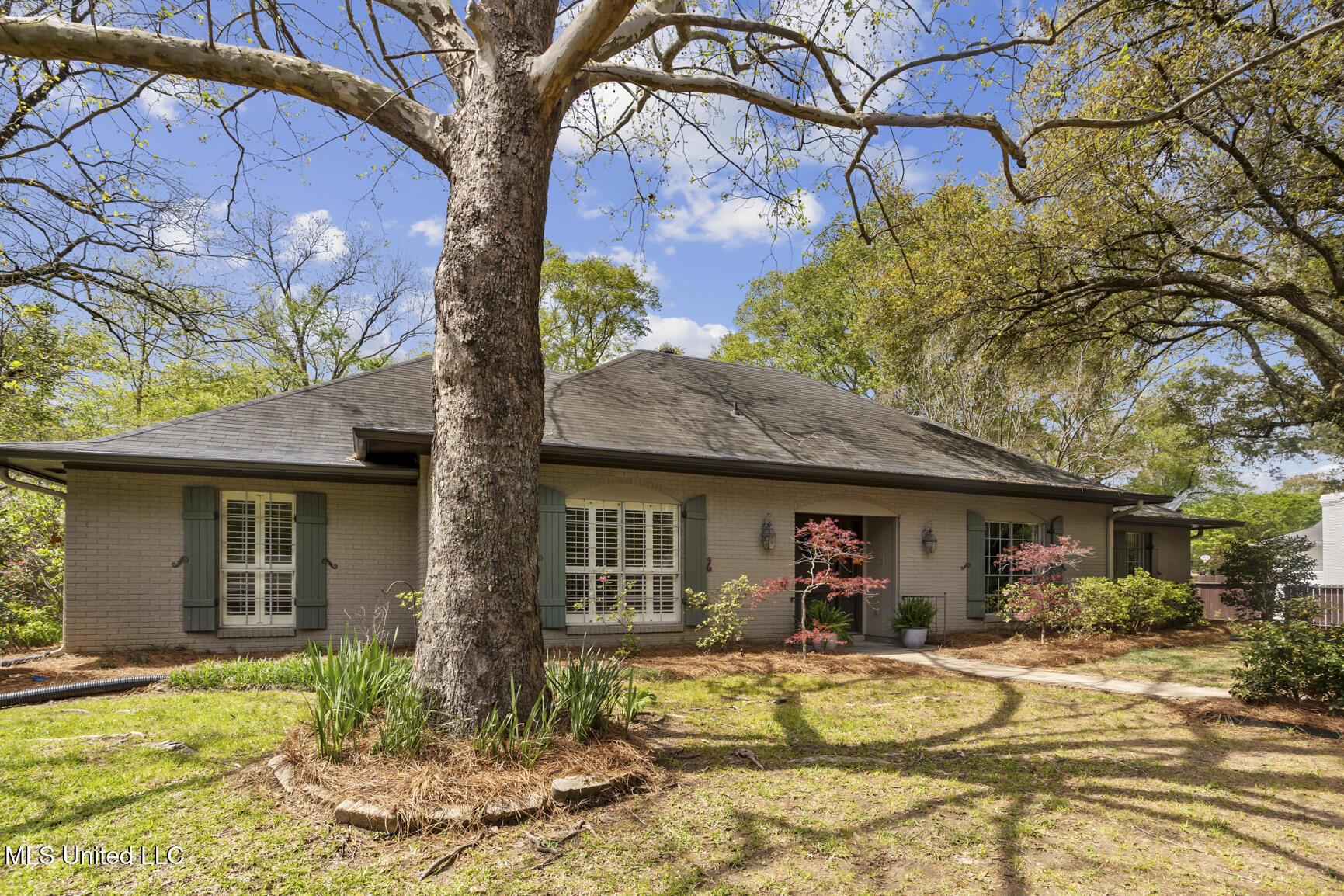 5325 River Thames Road, Jackson, Mississippi image 1