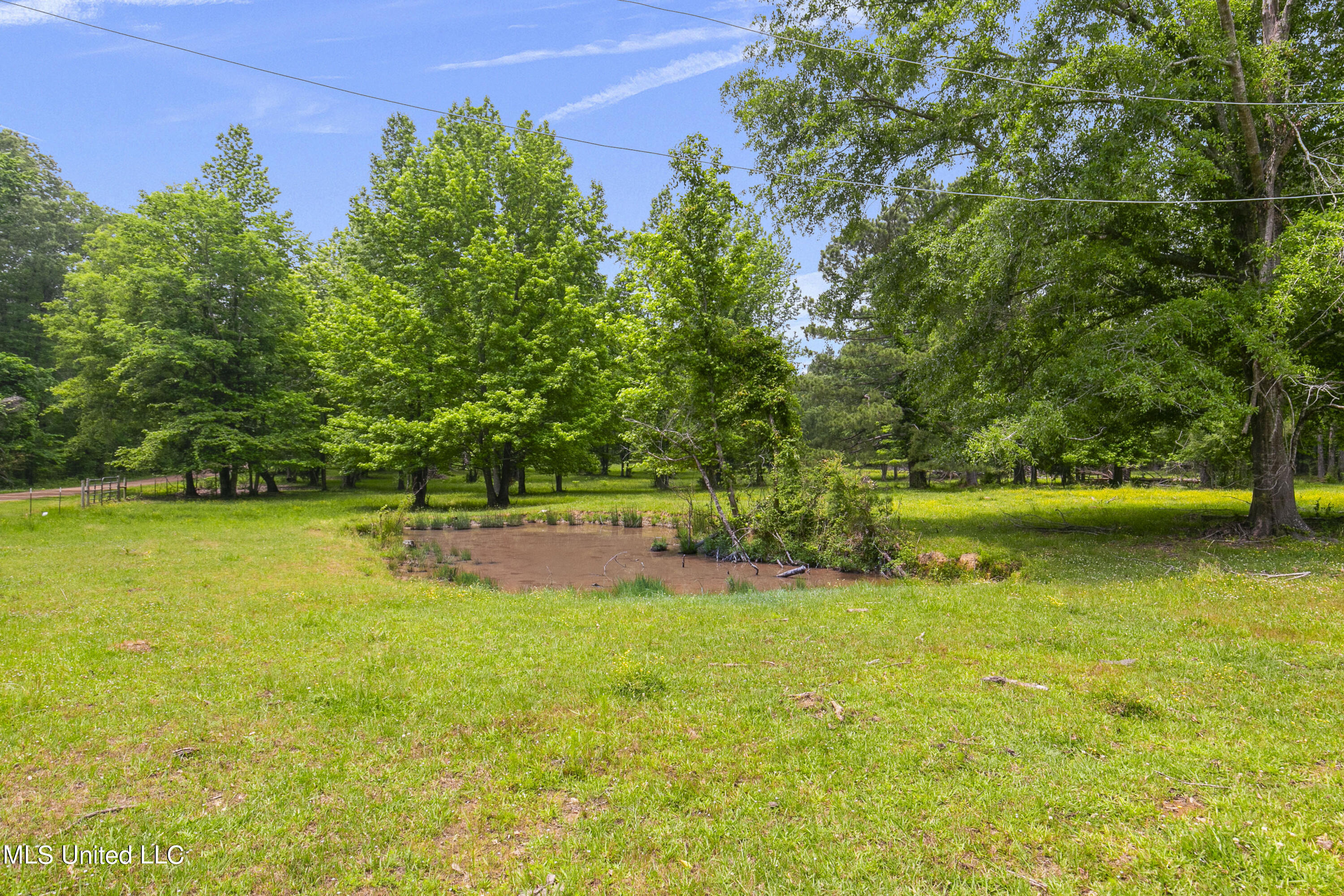 244 Allenwood Drive, Canton, Mississippi image 6