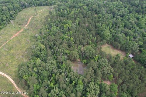 Vacant Land For Sale - 4155 Sterling Lane<br/> Amite County, Liberty, MS 39645