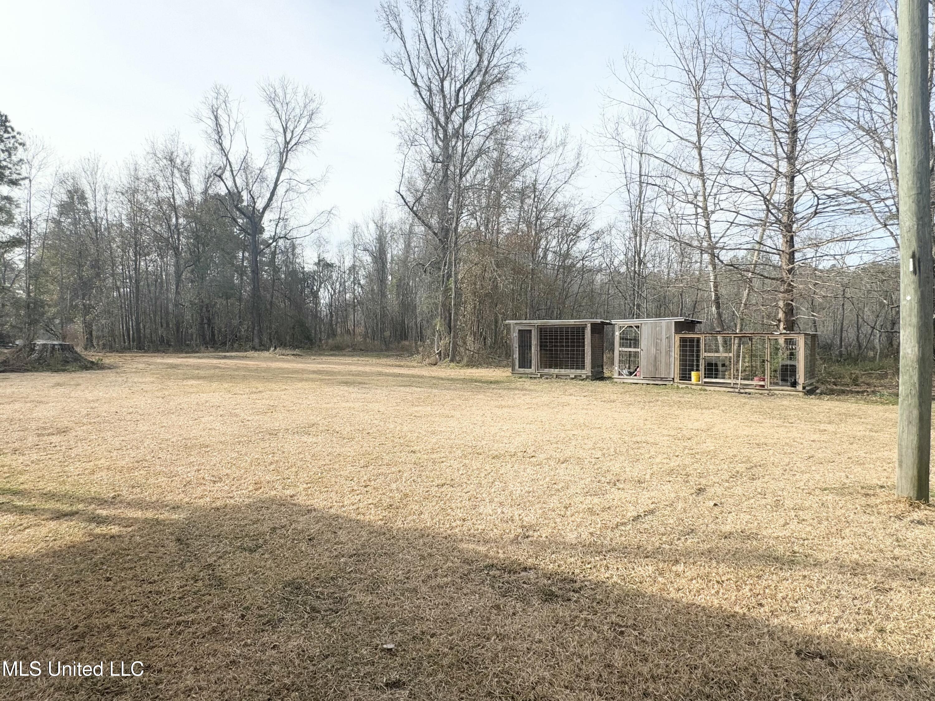 4 Chance Lane, Picayune, Mississippi image 32
