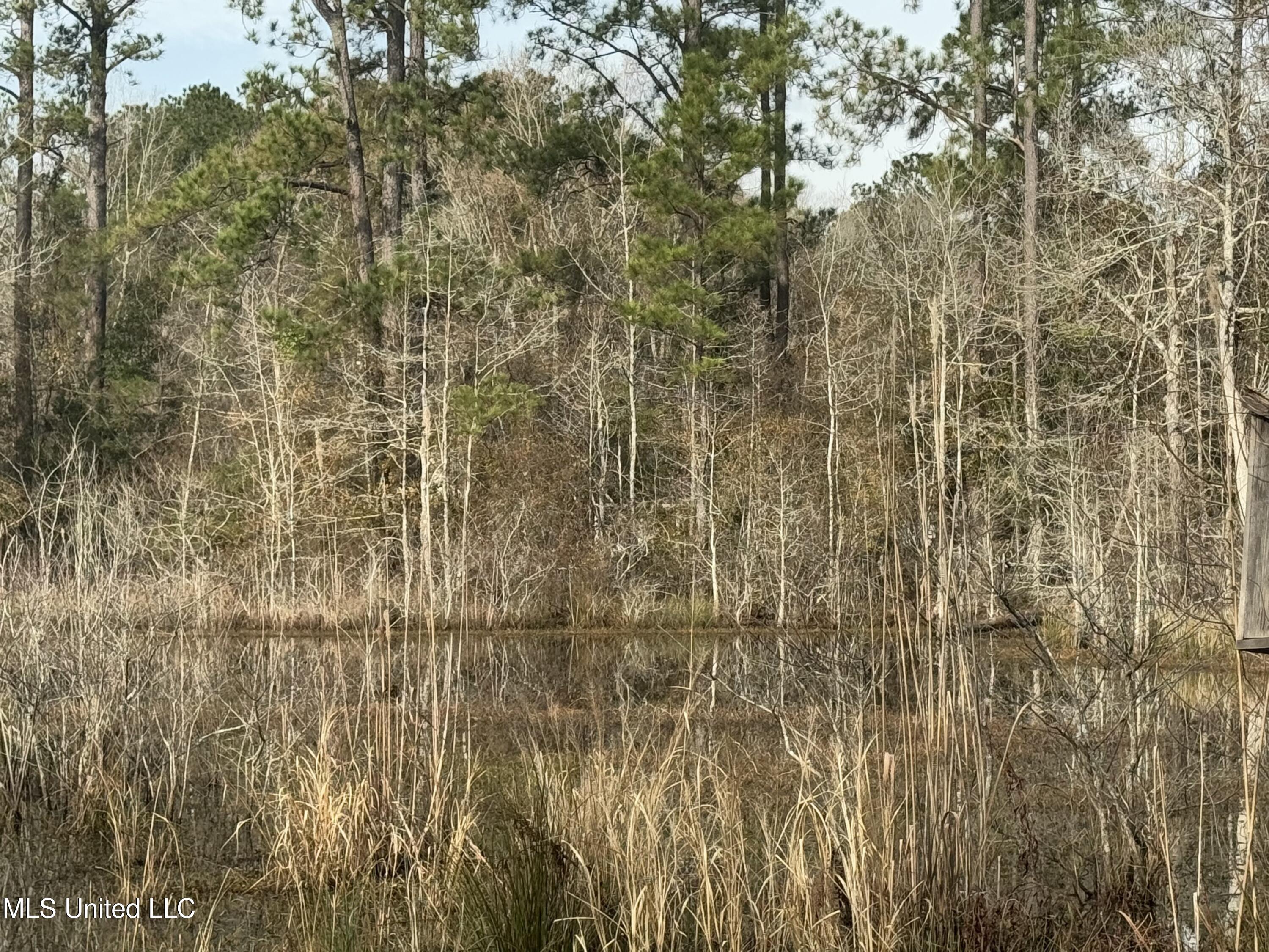 4 Chance Lane, Picayune, Mississippi image 34