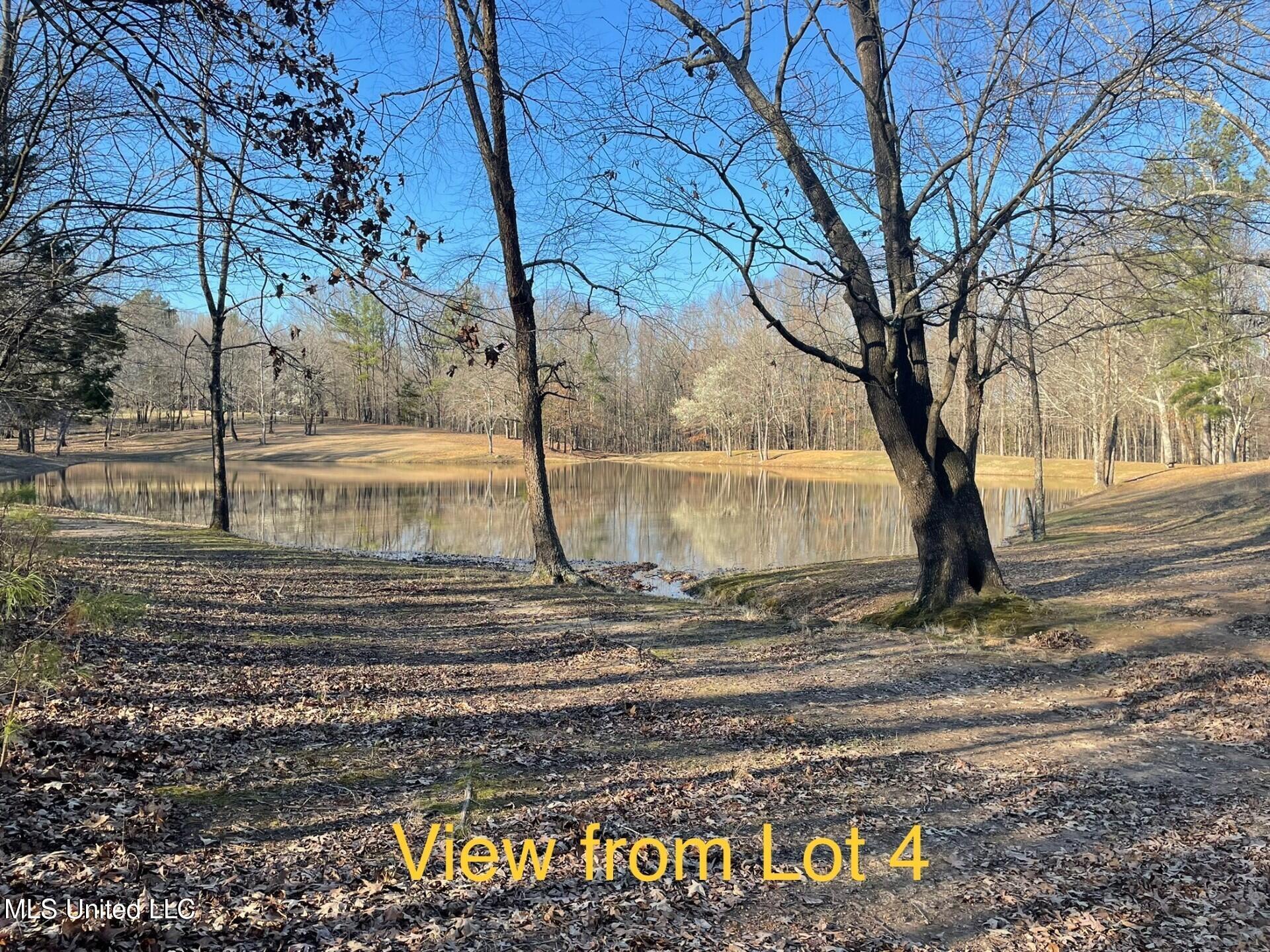 Lot 4 Woodlawn Road, Byhalia, Mississippi image 11