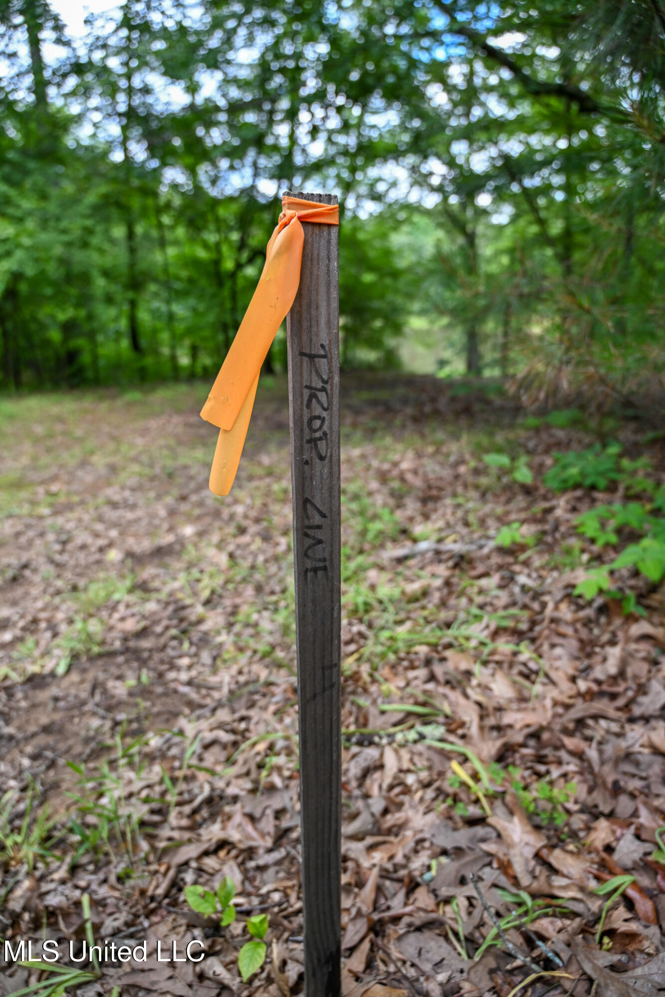Lot 4 Woodlawn Road, Byhalia, Mississippi image 9