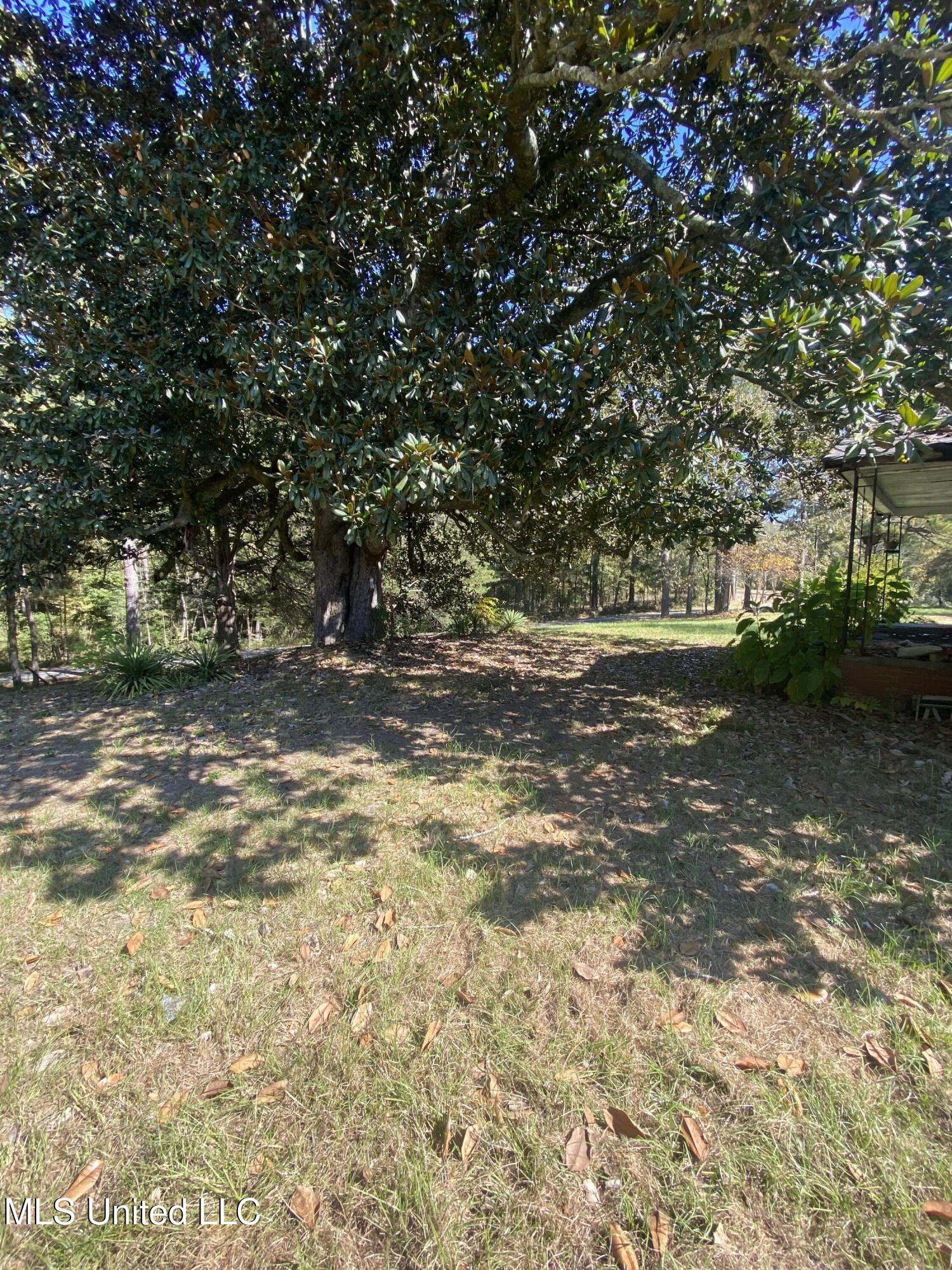 151 Pat Luckett Road, Canton, Mississippi image 4