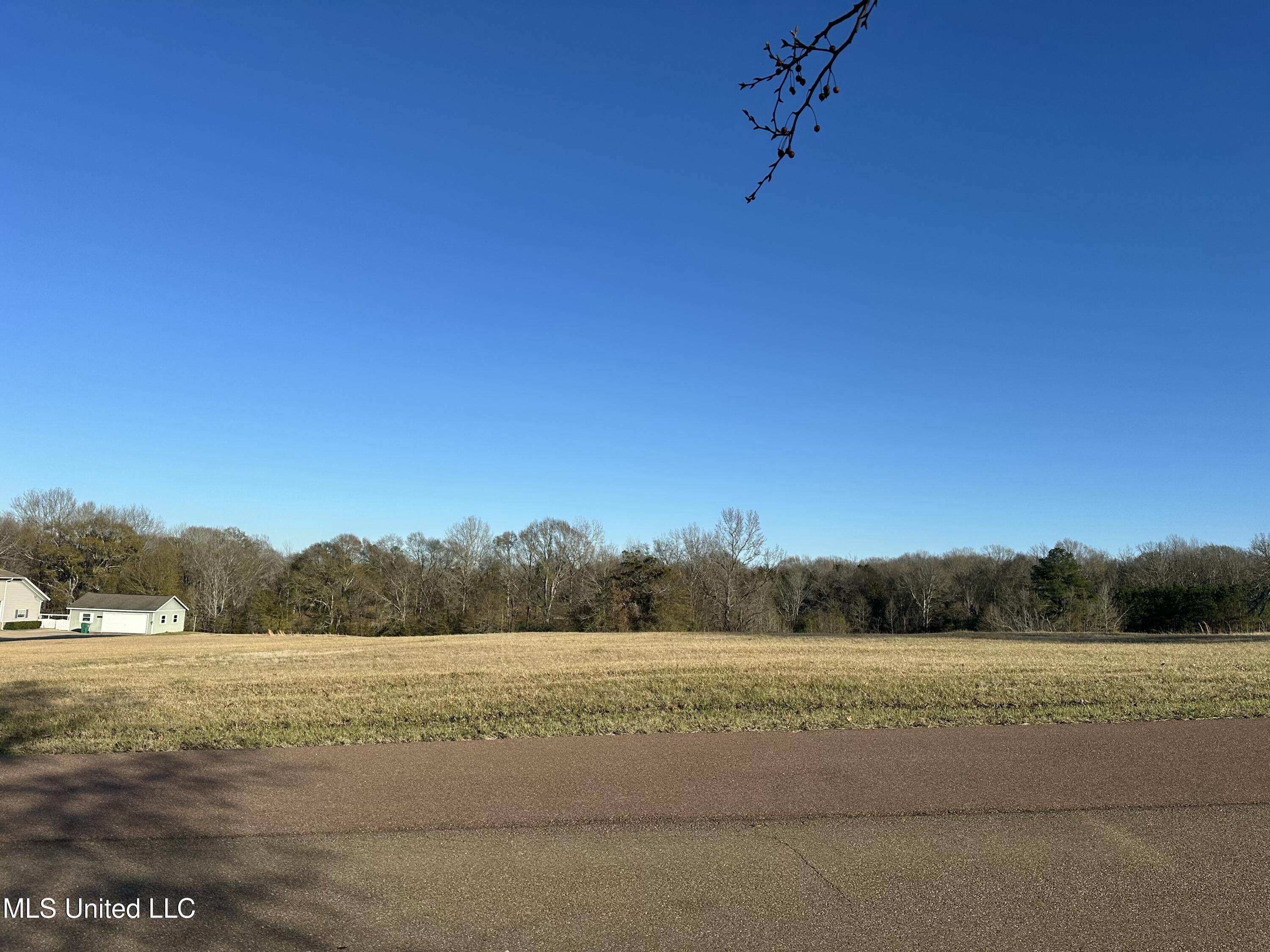 Meadow Oaks Lane, Clinton, Mississippi image 1