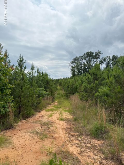 Vacant Land For Sale - Dividing Ridge Road<br/> Gore Springs, MS 38929