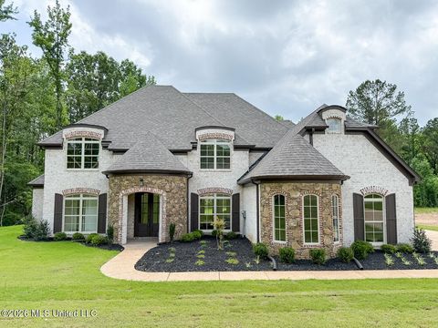 Homes For Sale - 427 Poplar Lane<br/> Holly Springs, MS 38635