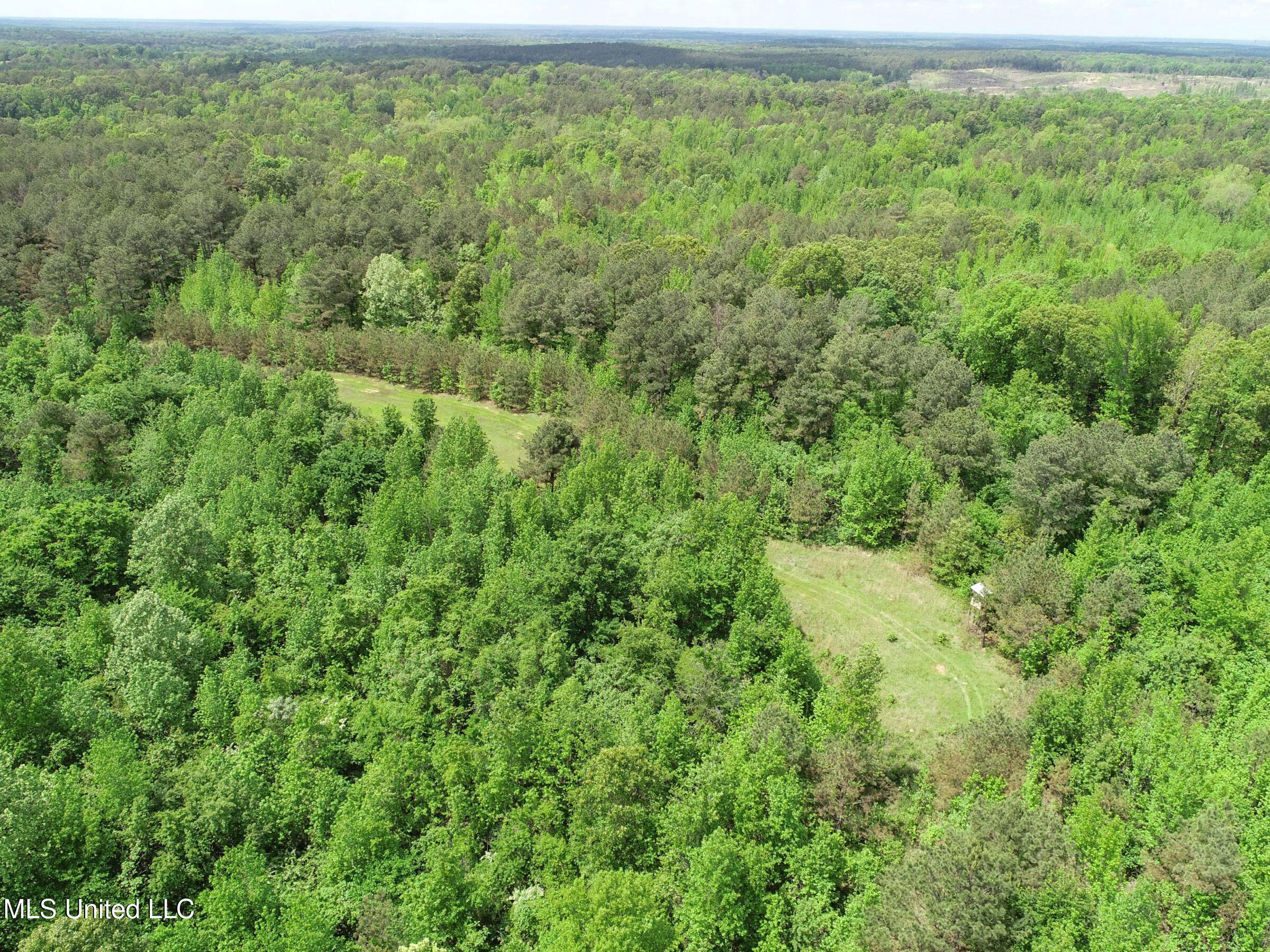 4505 Rutherford Road, Batesville, Mississippi image 36