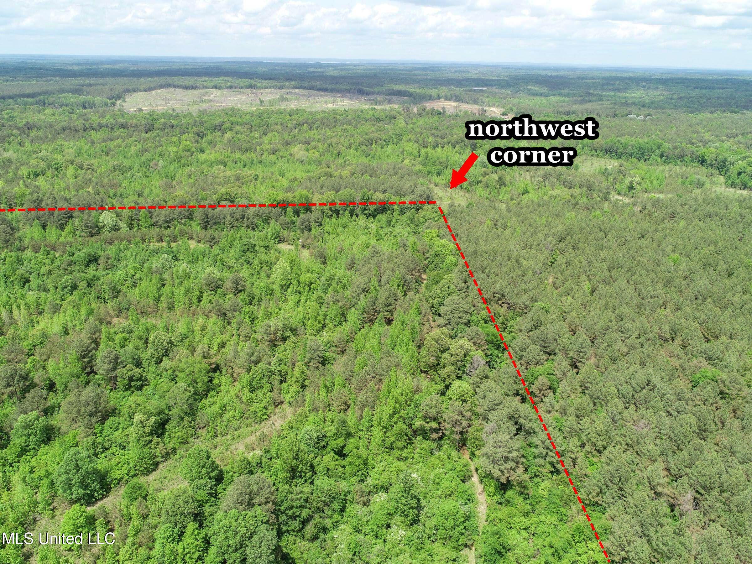 4505 Rutherford Road, Batesville, Mississippi image 33