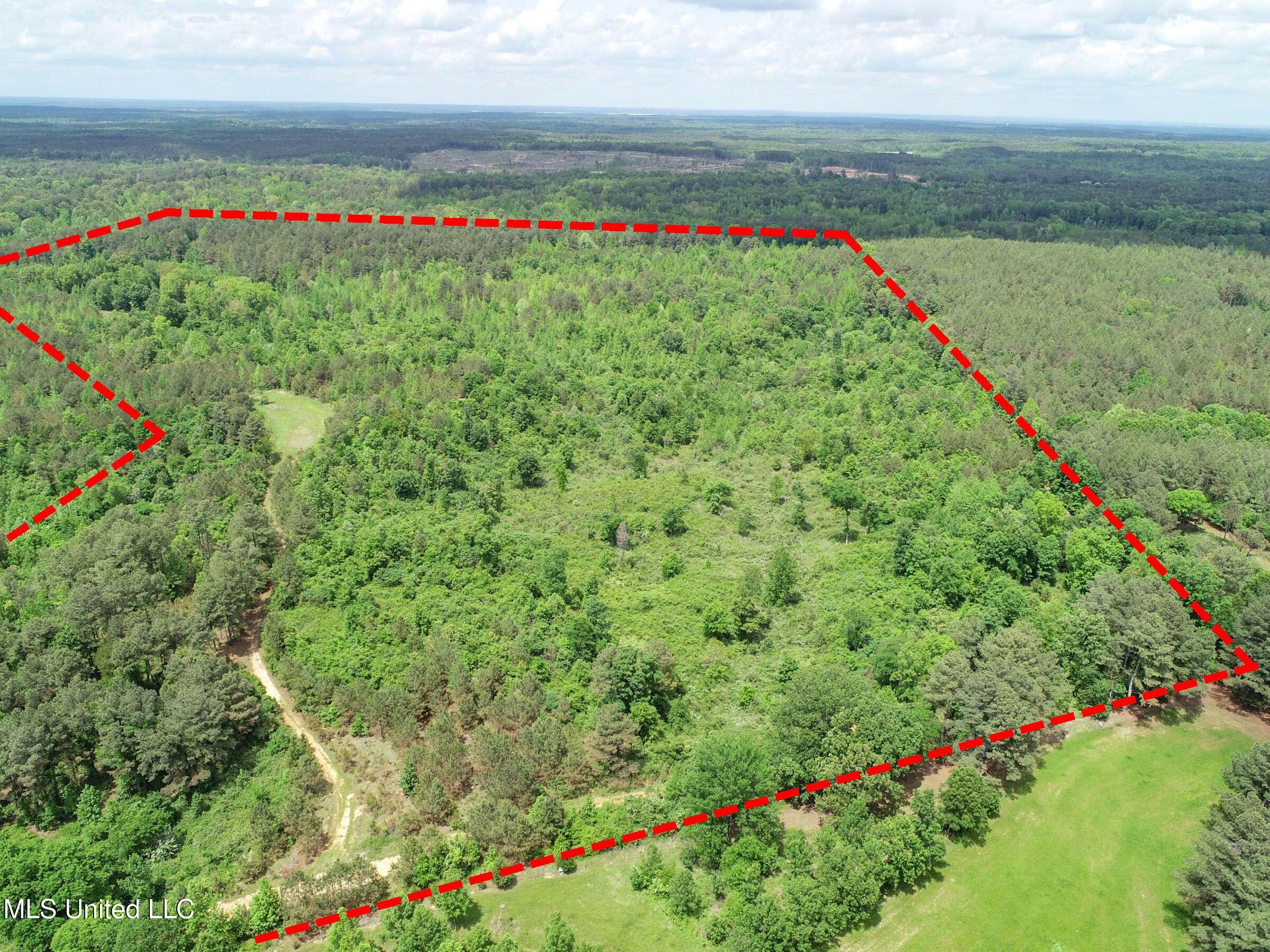 4505 Rutherford Road, Batesville, Mississippi image 16