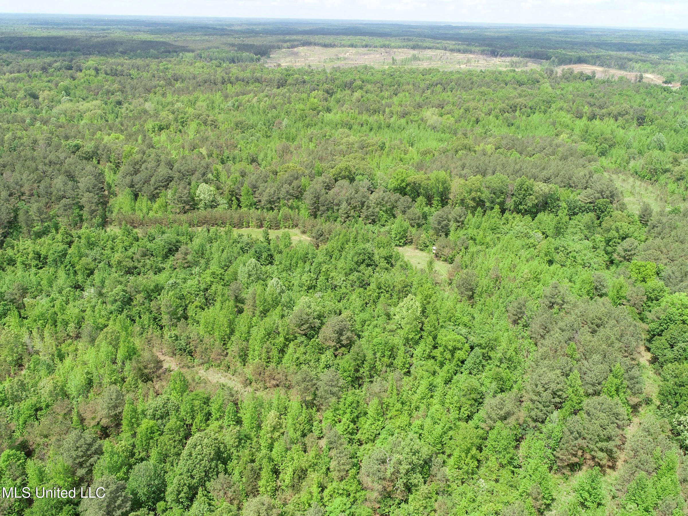 4505 Rutherford Road, Batesville, Mississippi image 34