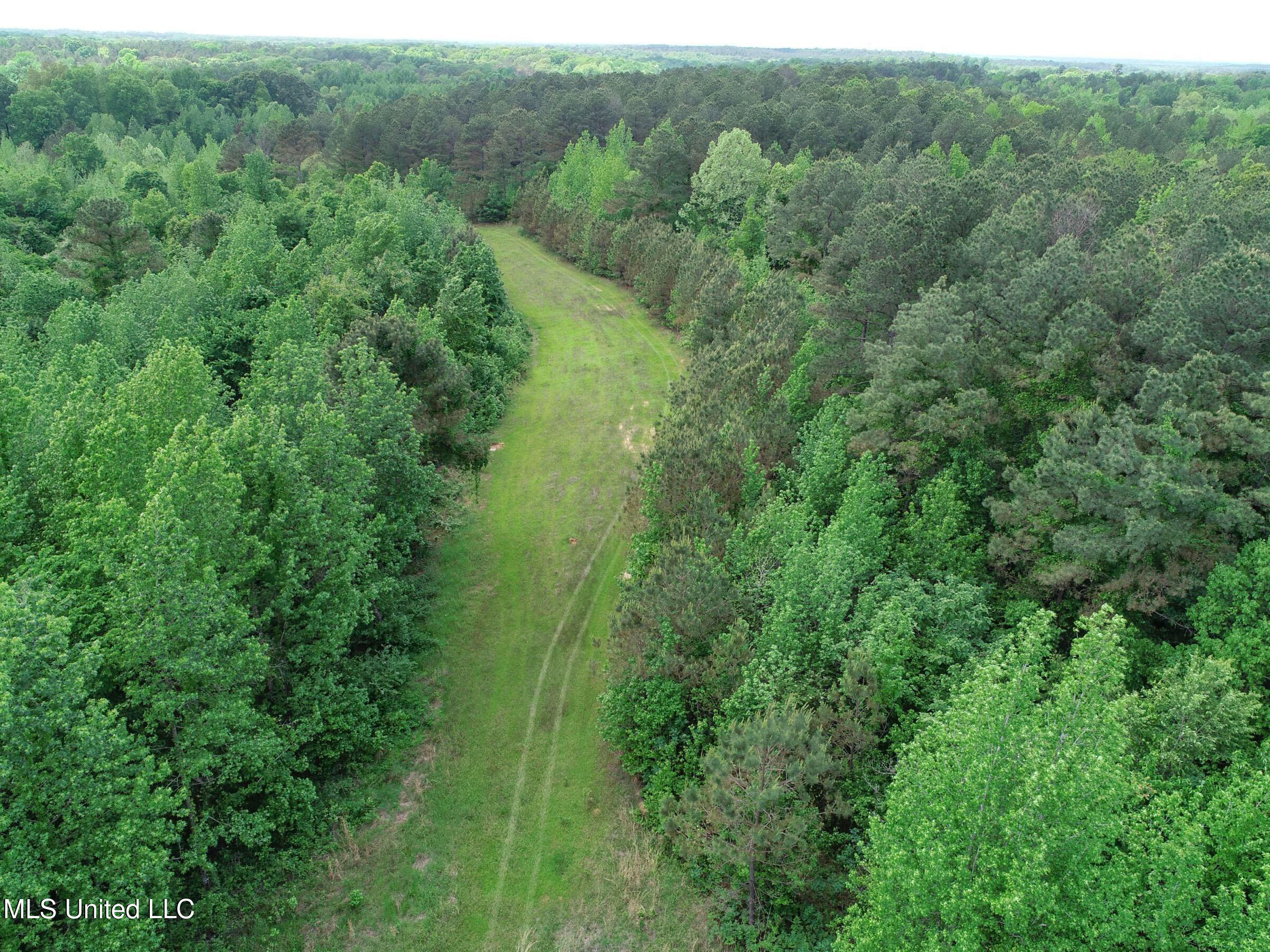 4505 Rutherford Road, Batesville, Mississippi image 42