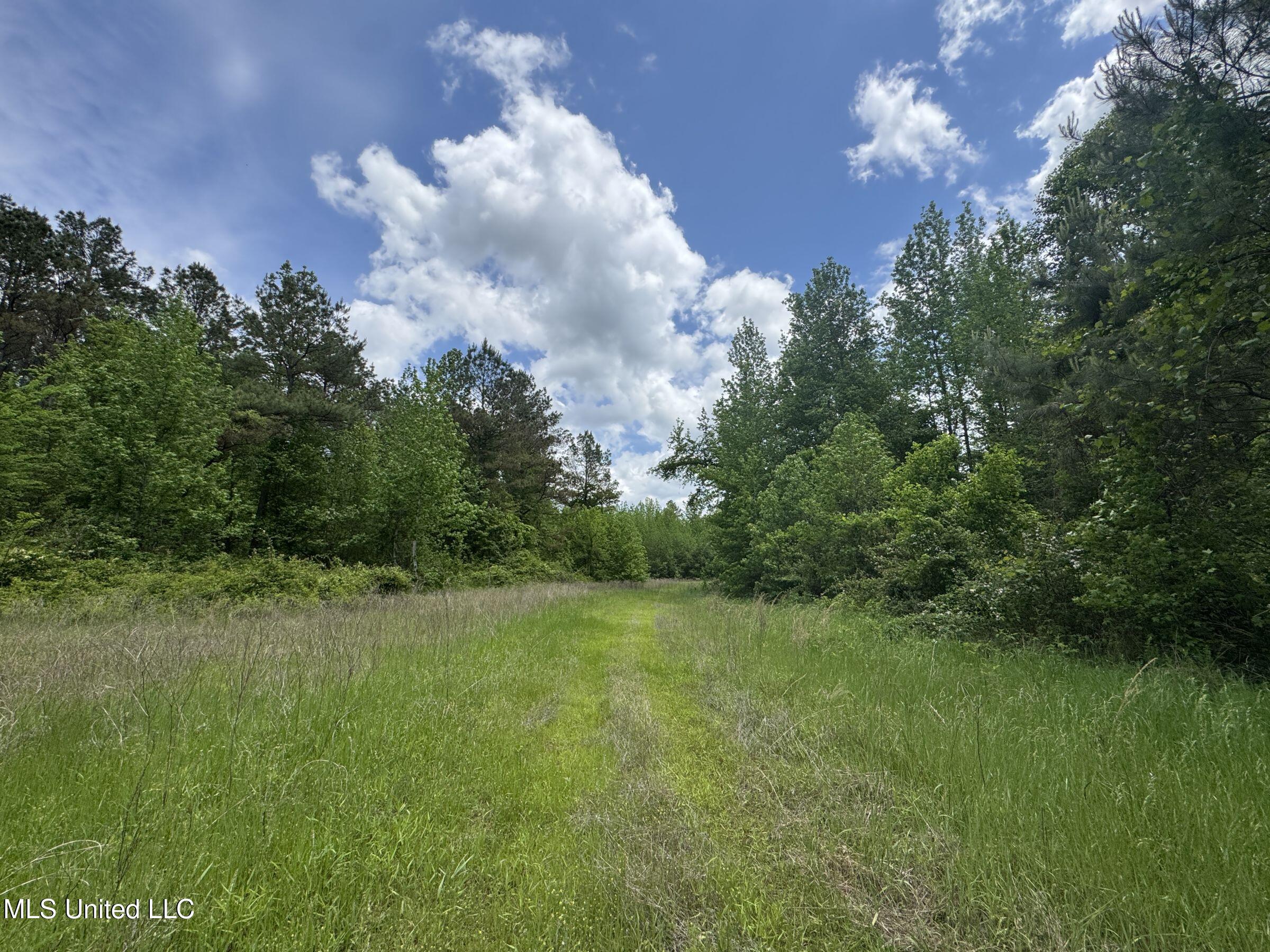 4505 Rutherford Road, Batesville, Mississippi image 47
